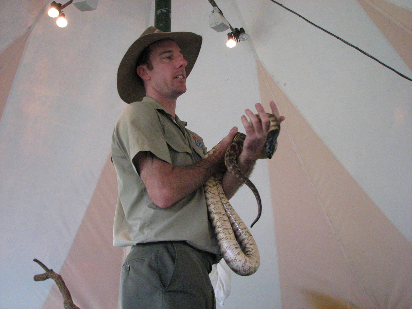 Cairns Tropical Zoo 2007 - Snake show