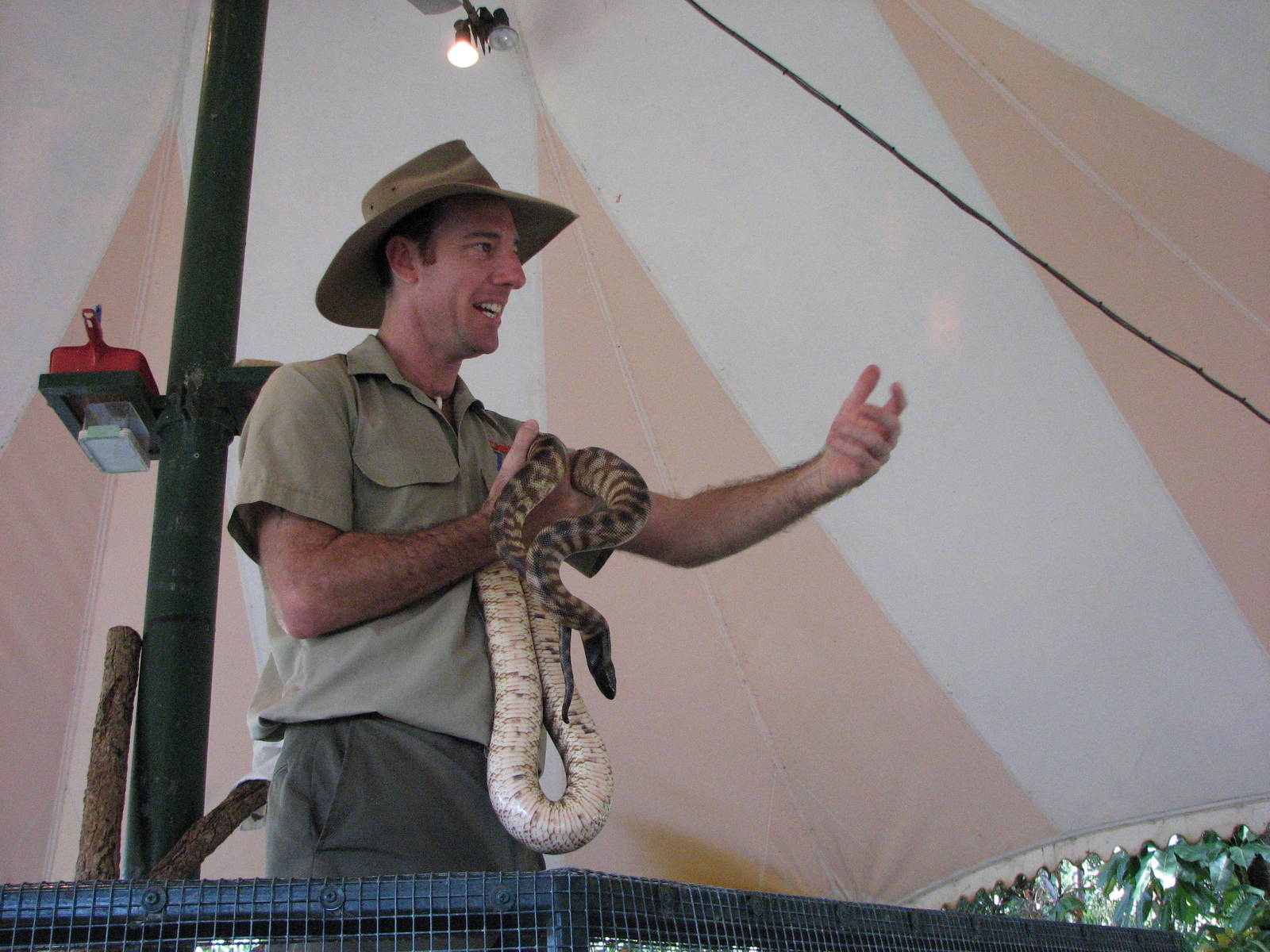 Cairns Tropical Zoo 2007 - Snake show
