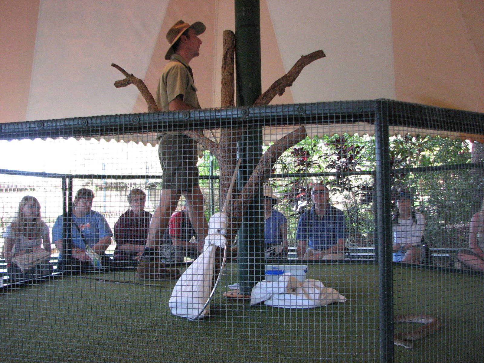 Cairns Tropical Zoo 2007 - Snake show