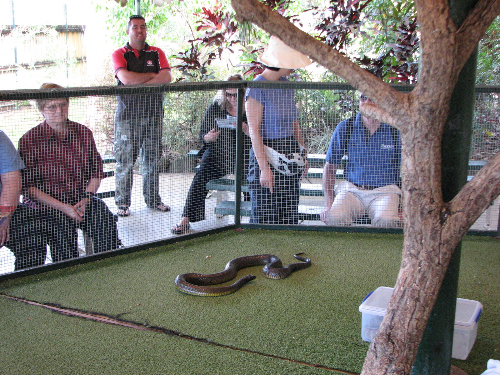 Cairns Tropical Zoo 2007 - Snake show