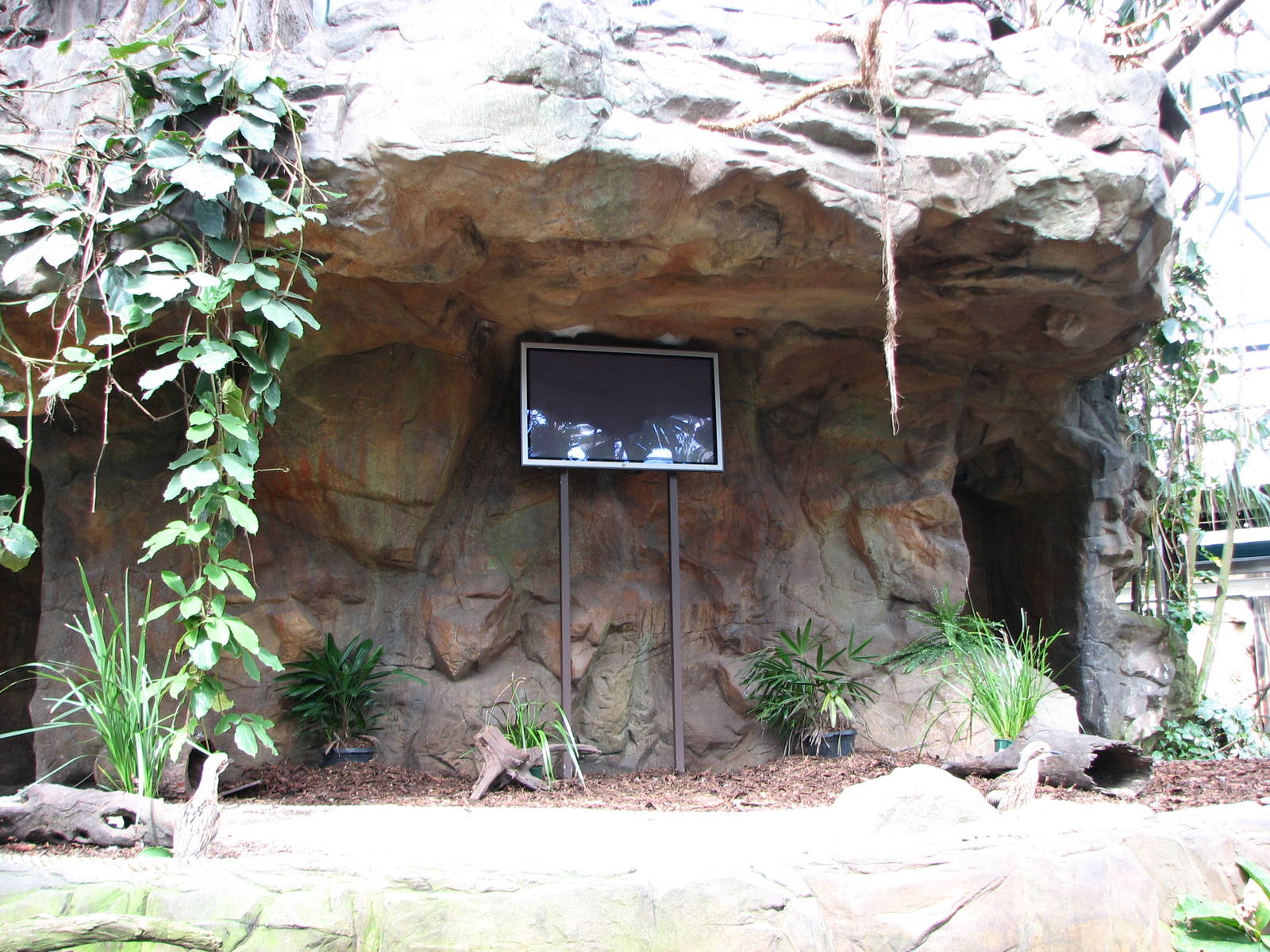 Cairns Wildlife Dome 2007 - Animal show stage