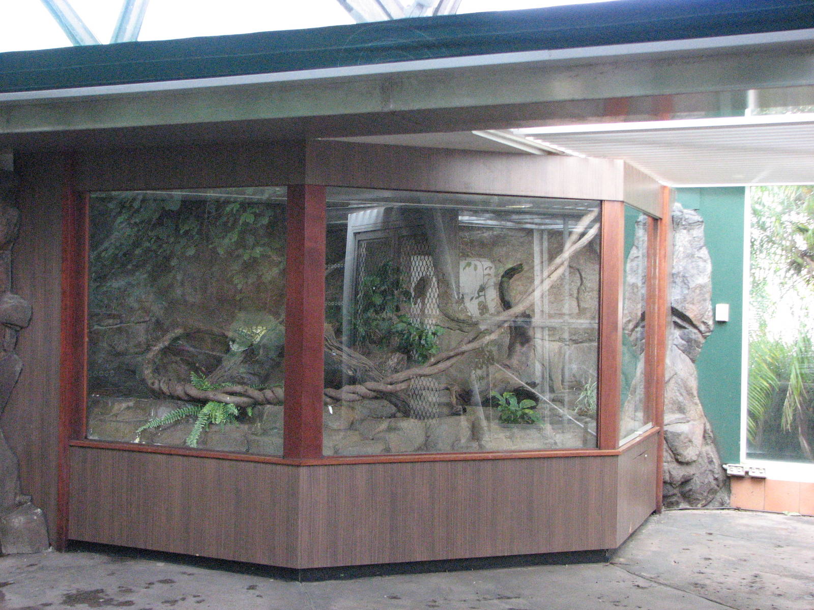 Cairns Wildlife Dome 2007 - Boa enclosure