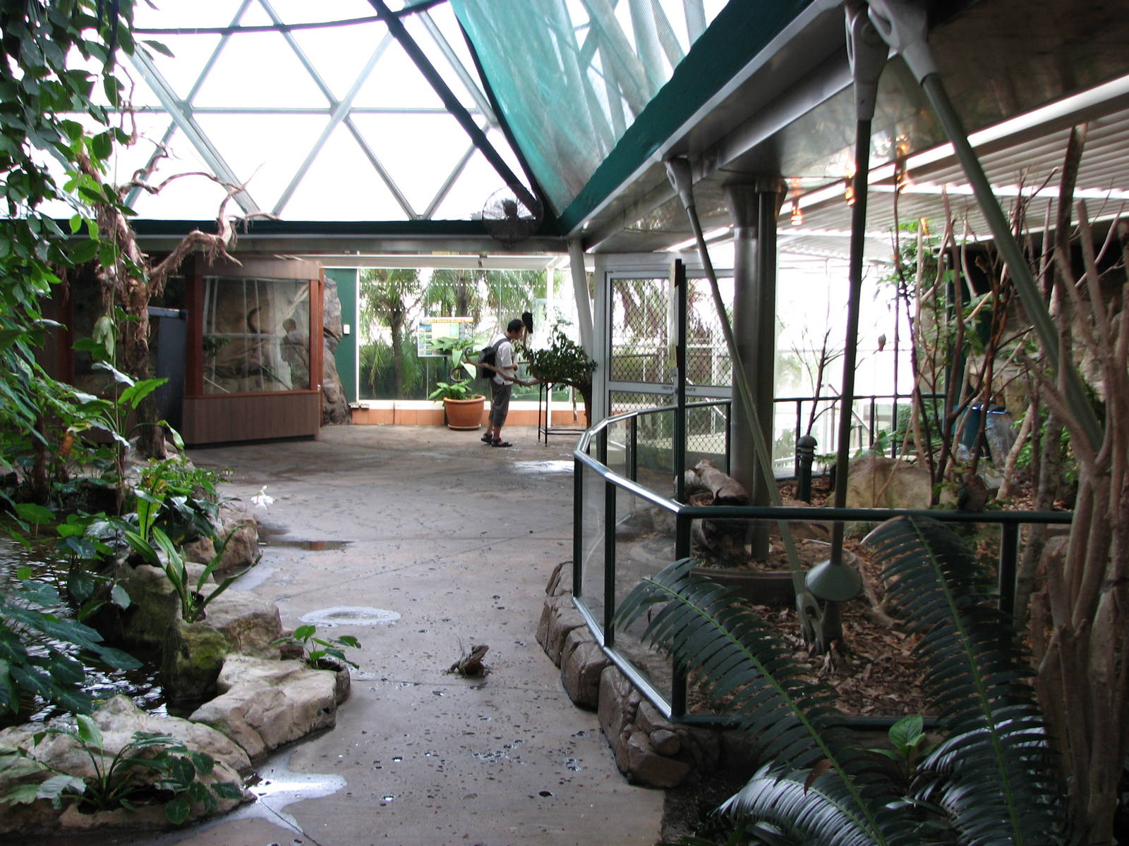 Cairns Wildlife Dome 2007 - General view inside the Dome