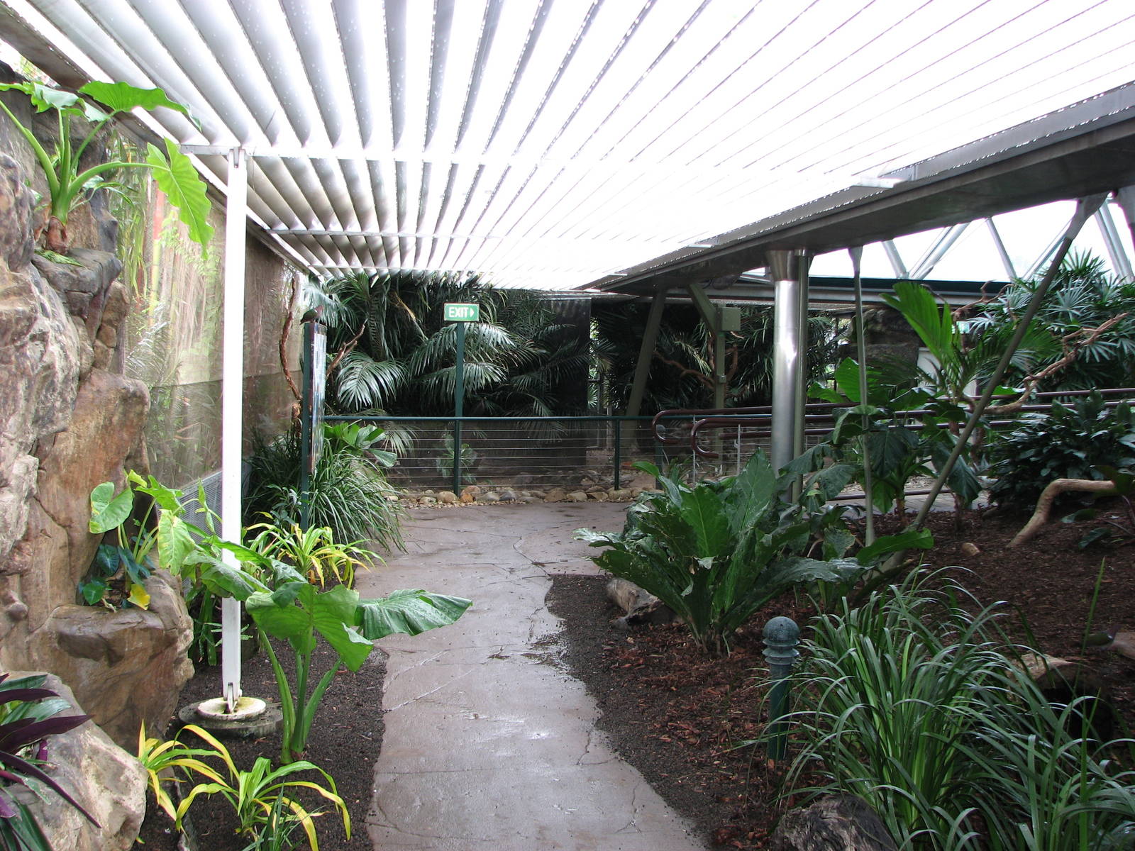 Cairns Wildlife Dome 2007 - General view inside the Dome