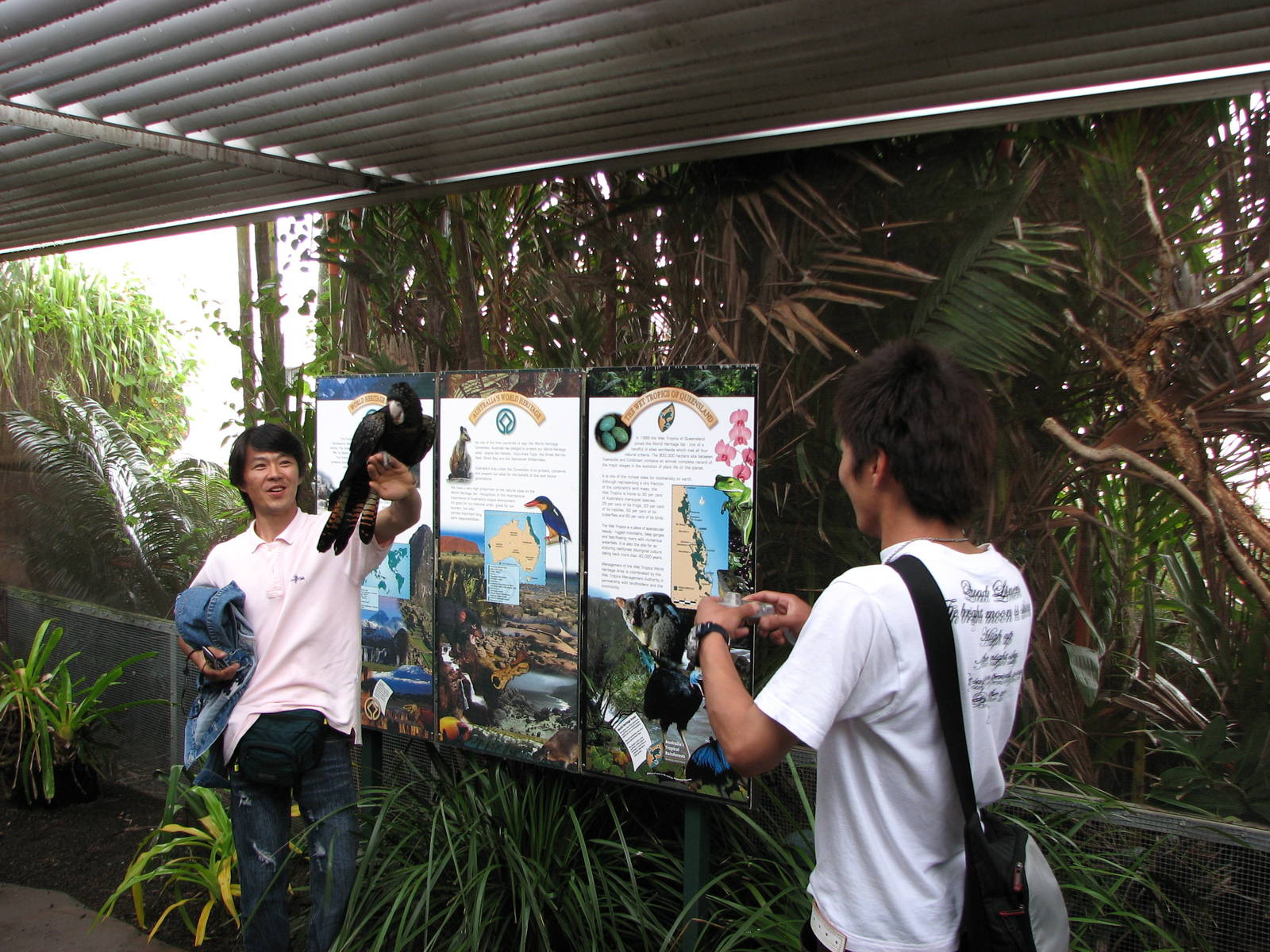 Cairns Wildlife Dome 2007 - General view inside the Dome