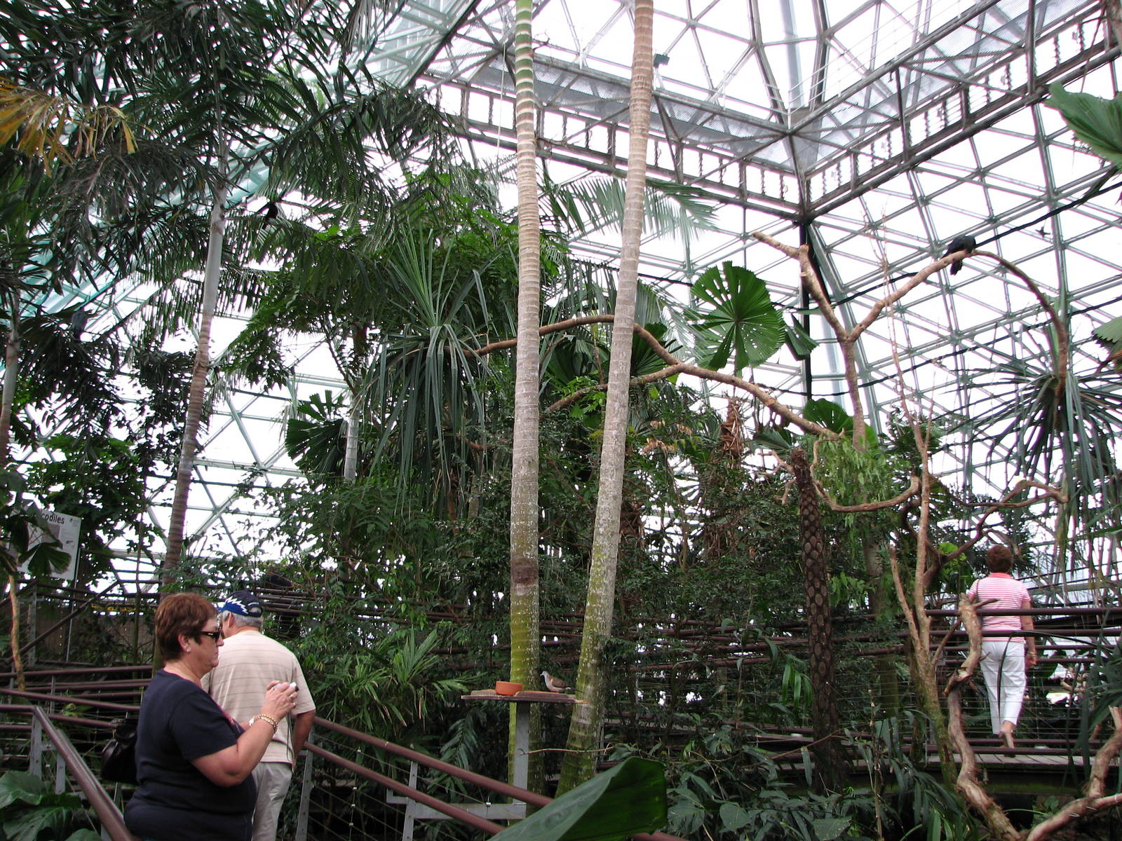 Cairns Wildlife Dome 2007 - General view inside the Dome