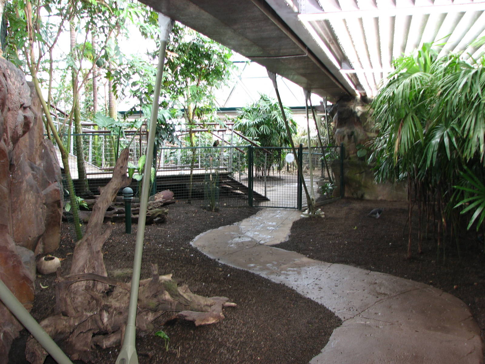 Cairns Wildlife Dome 2007 - General view inside the Dome