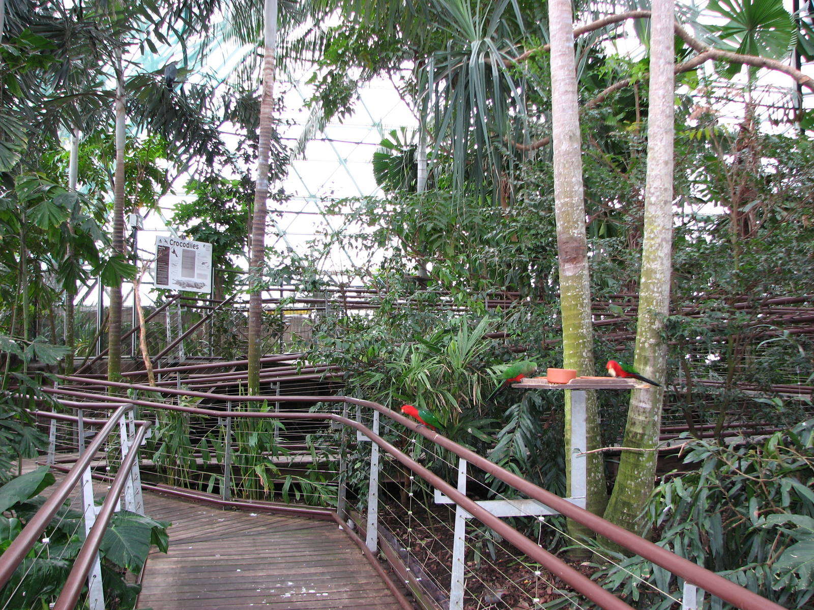 Cairns Wildlife Dome 2007 - General view inside the Dome