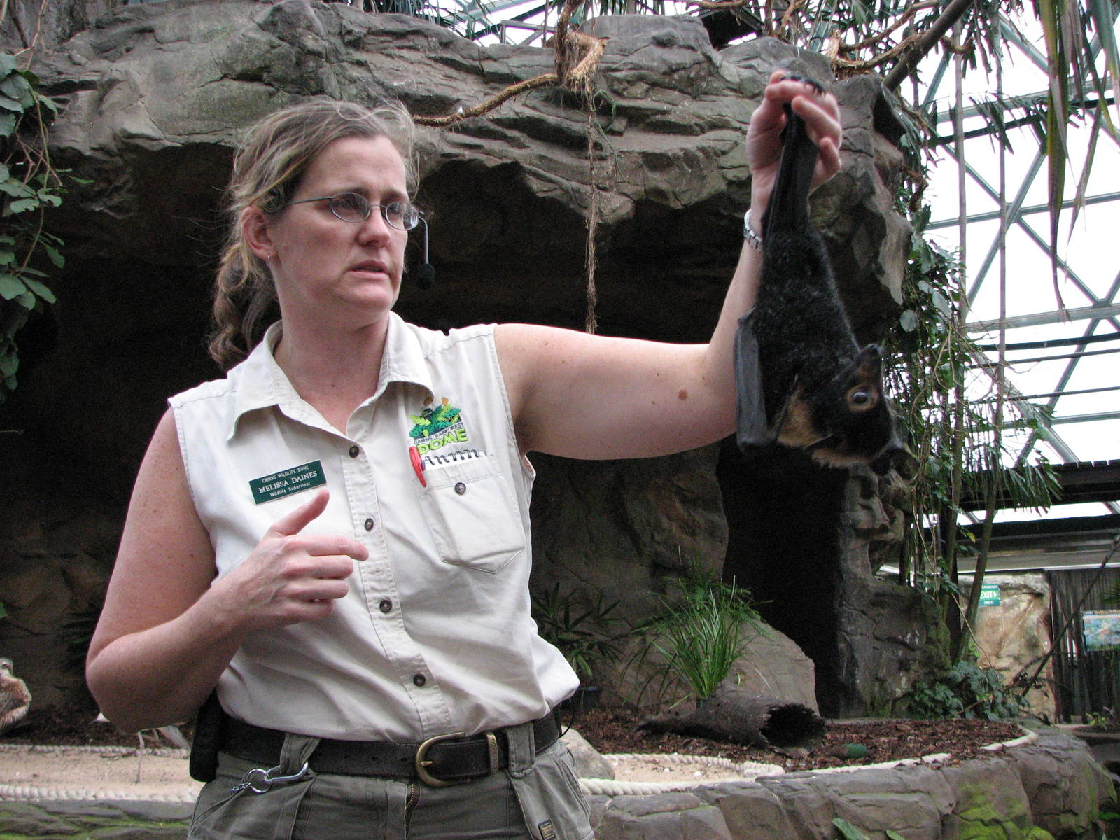 Cairns Wildlife Dome 2007 - Keeper shows a Fruit Bat