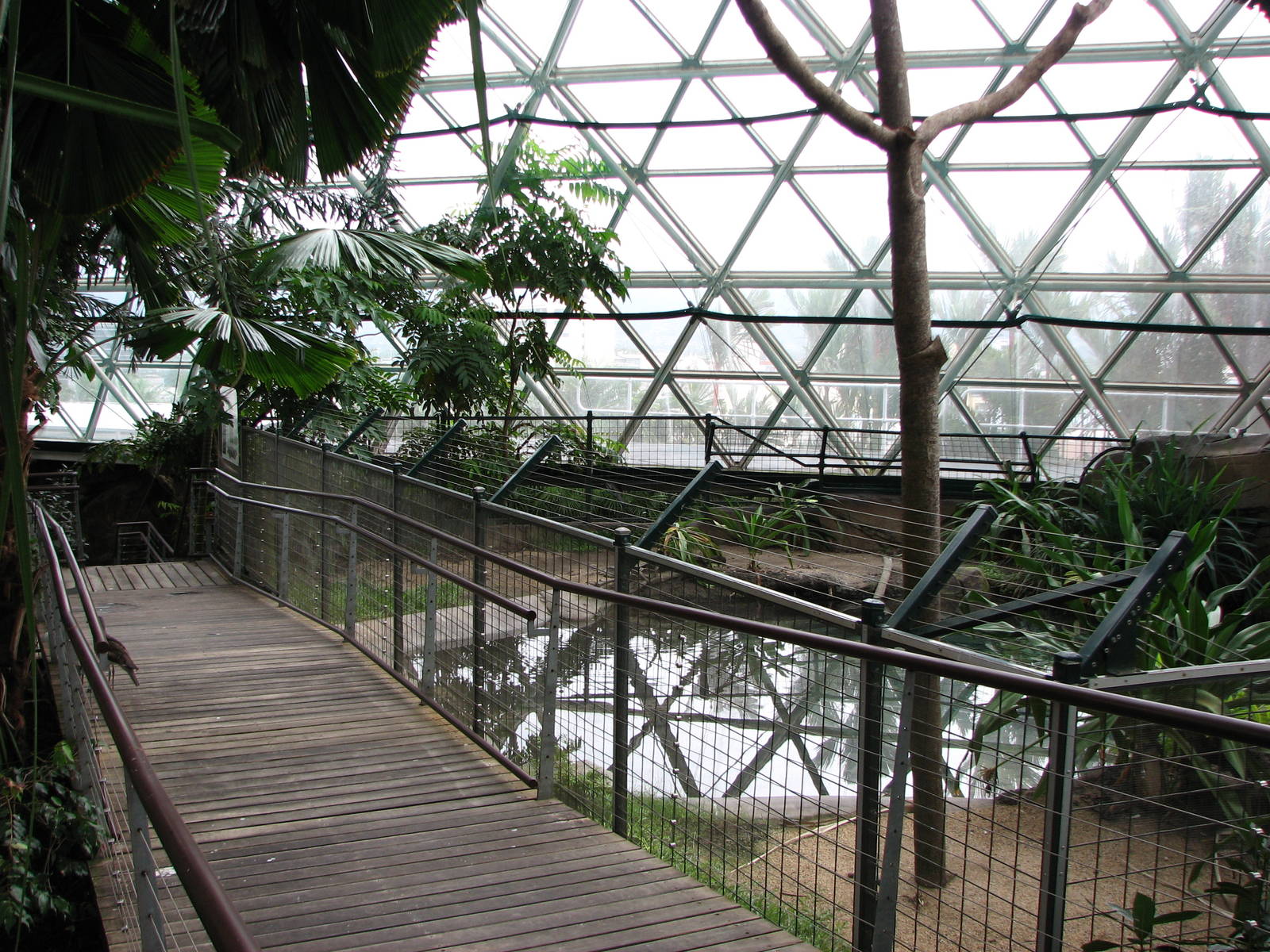 Cairns Wildlife Dome 2007 - Saltwater Crocodile exhibit