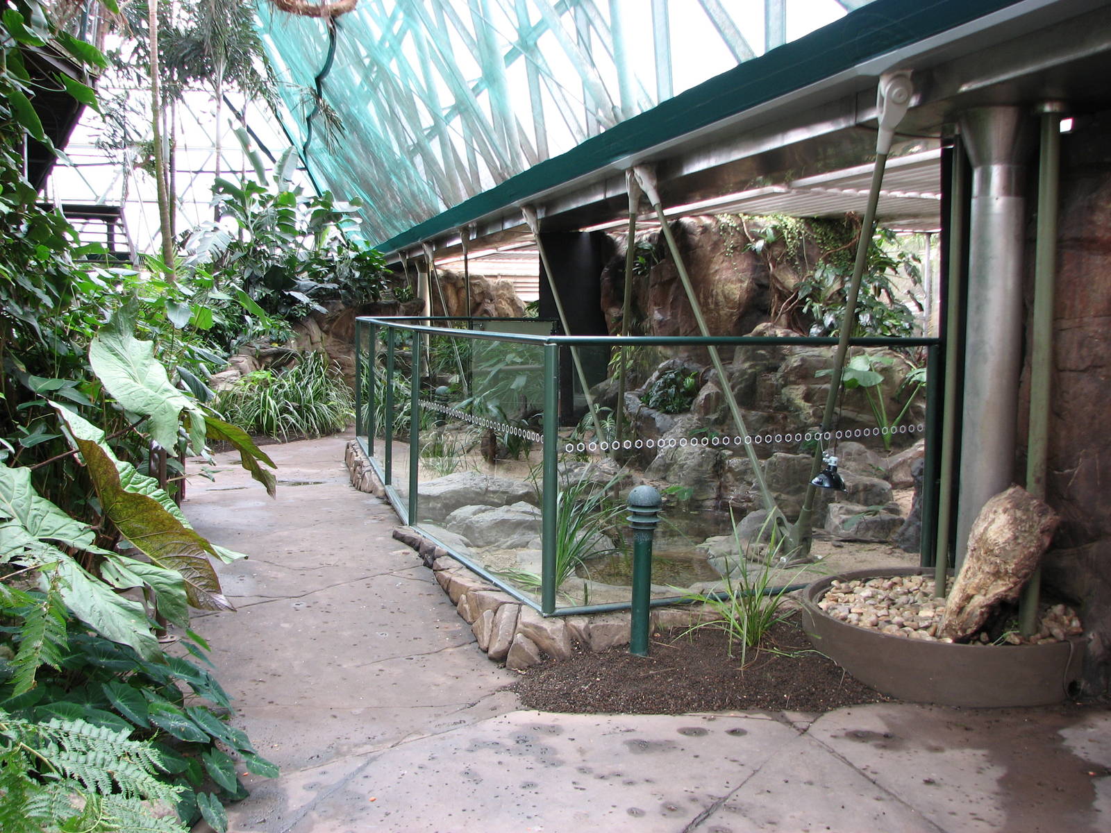 Cairns Wildlife Dome 2007 - Sideview of the mixed Lizard exhibit