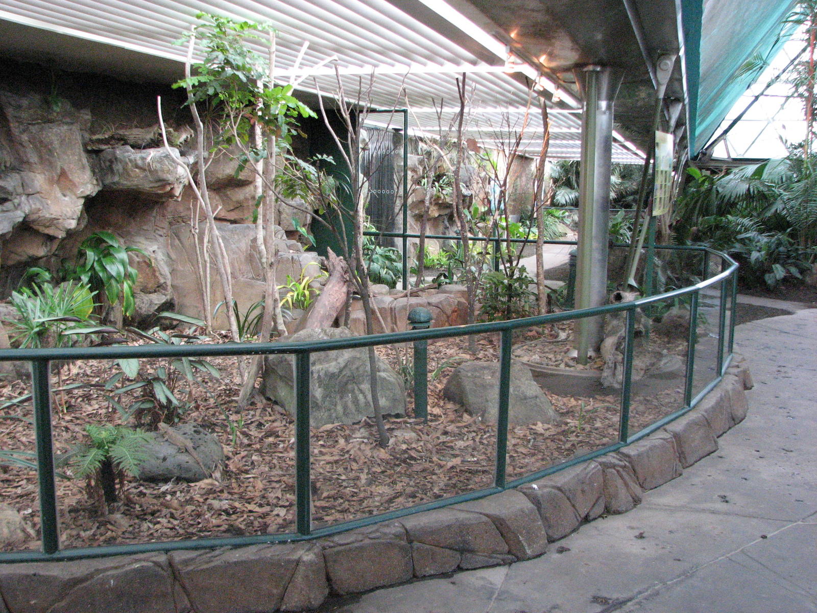 Cairns Wildlife Dome 2007 - Sideview of the mixed Lizard exhibit
