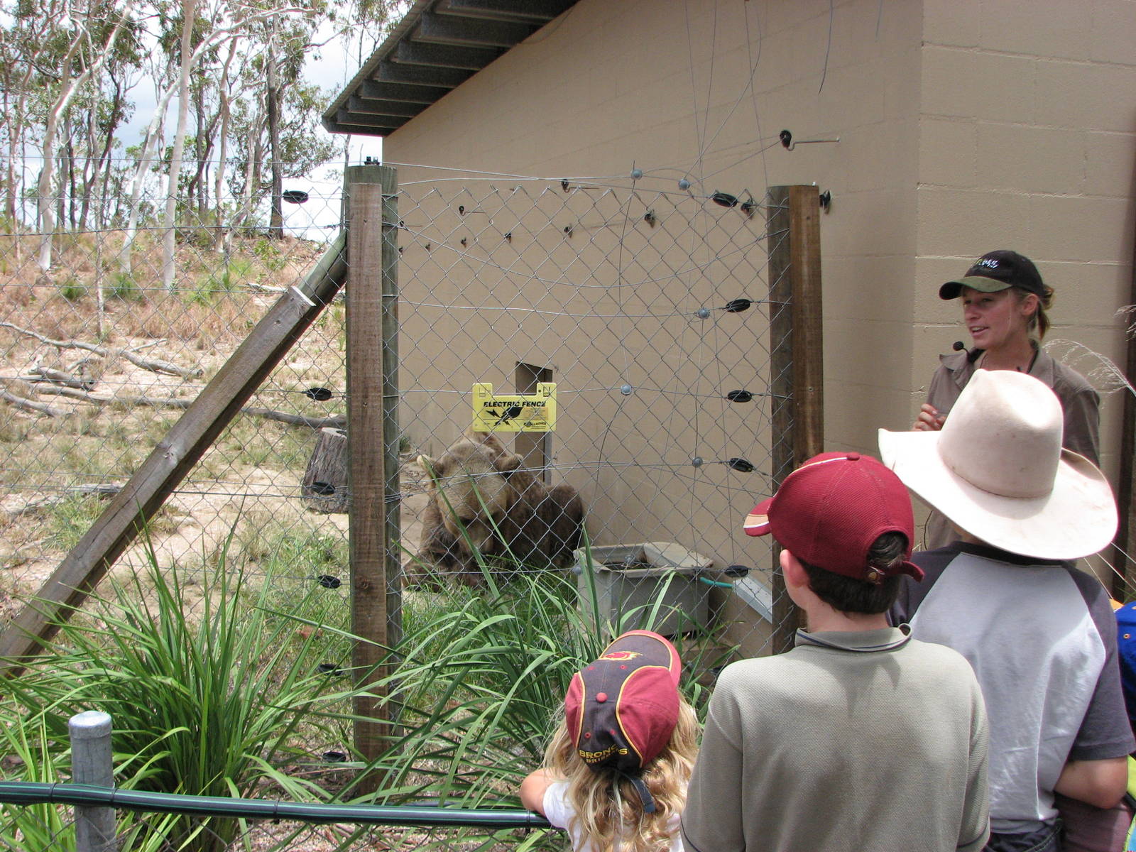 Cairns Wildlife Safari Reserve - Bear presentation by keeper