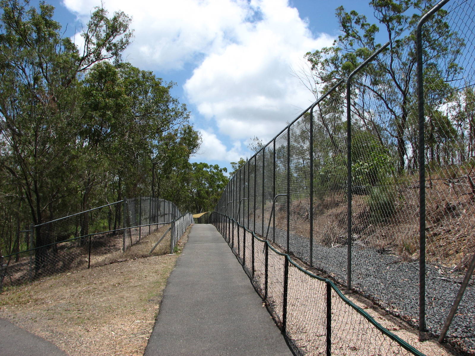 Cairns Wildlife Safari Reserve - Fences and pathways