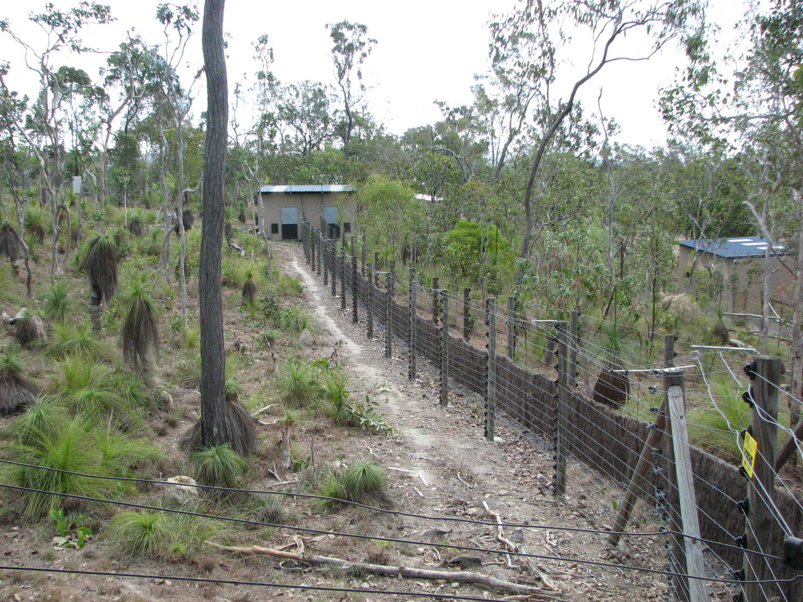 Cairns Wildlife Safari Reserve - Perimeter of one of the monkey enclosures
