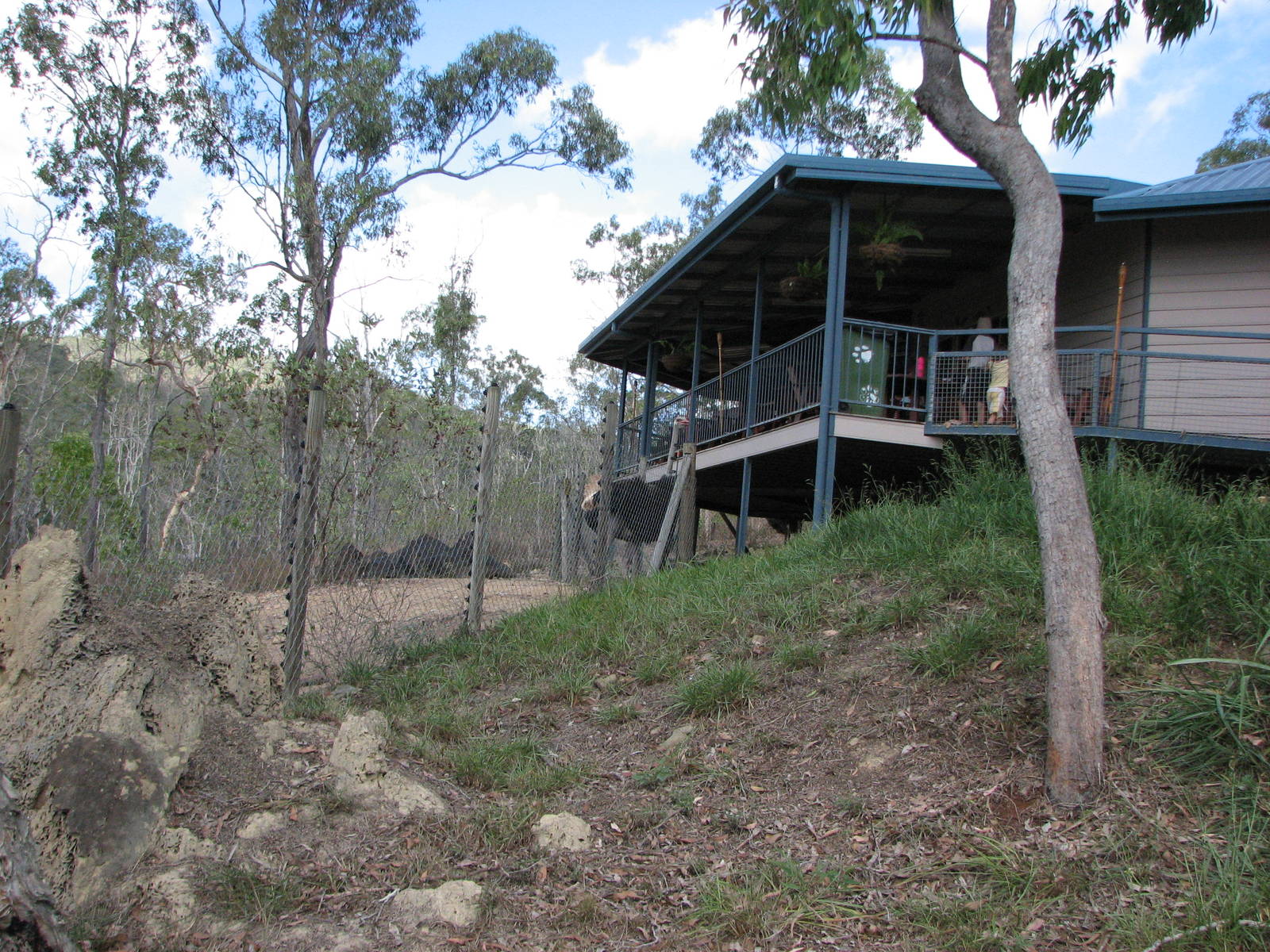 Cairns Wildlife Safari Reserve - Viewpoint over the Ostrich enclosure