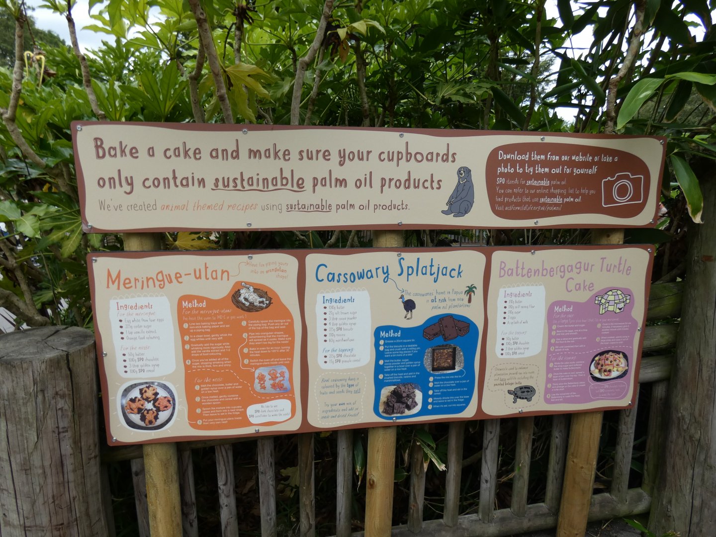 Cake recipies by RORA exit