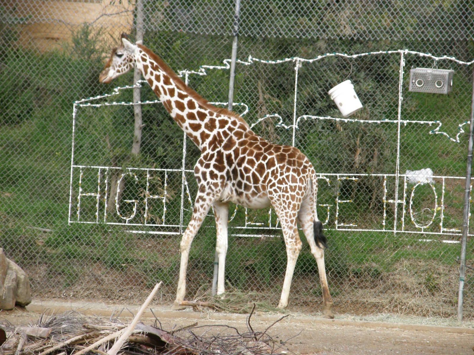 Cal_Dec_09_Jan_10_313