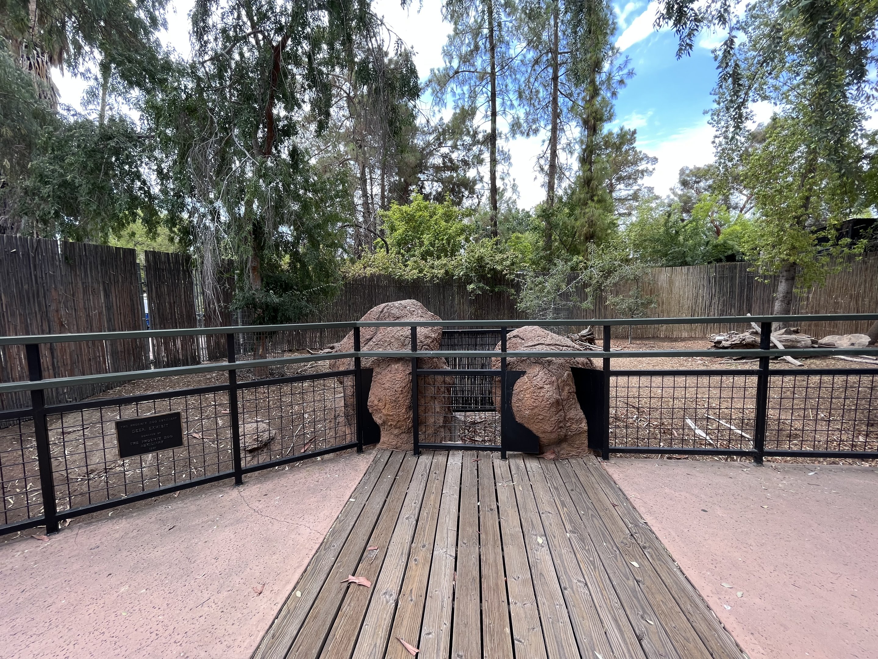 Calamian Deer Exhibit