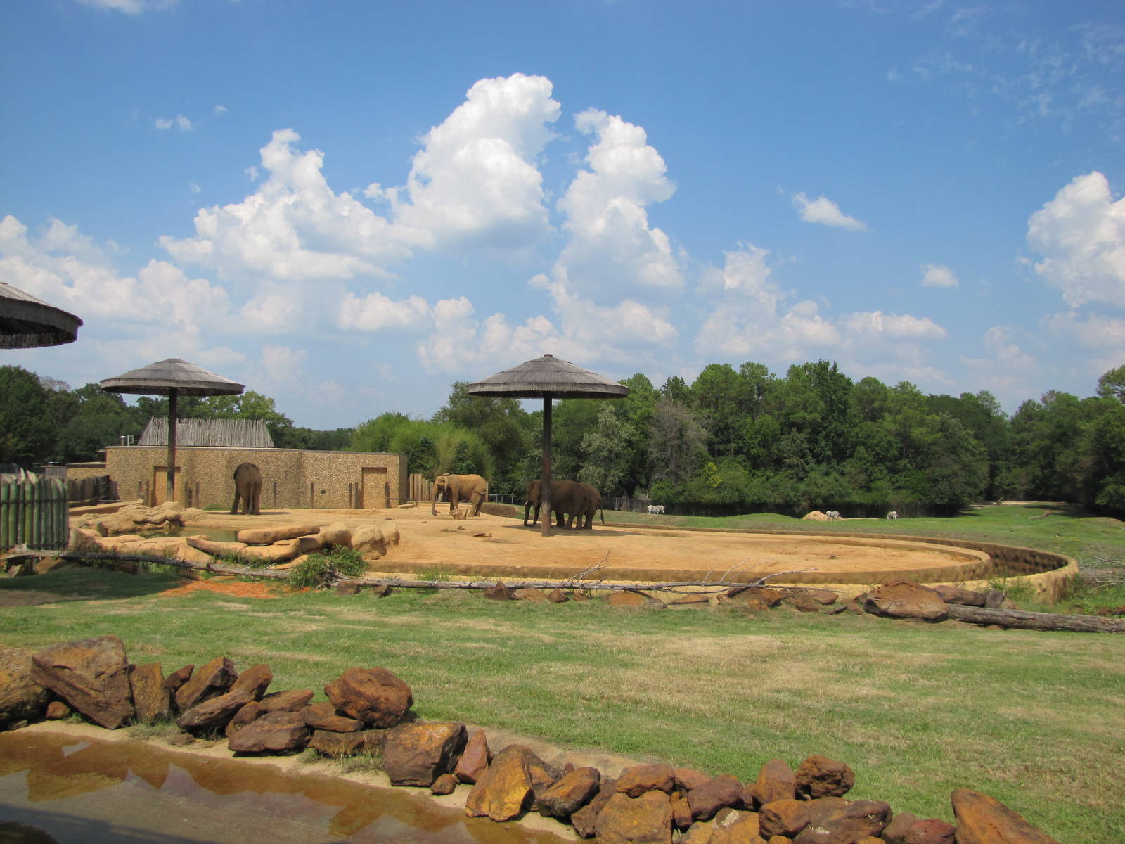 Caldwell Zoo 2010 - African Elephant exhibit