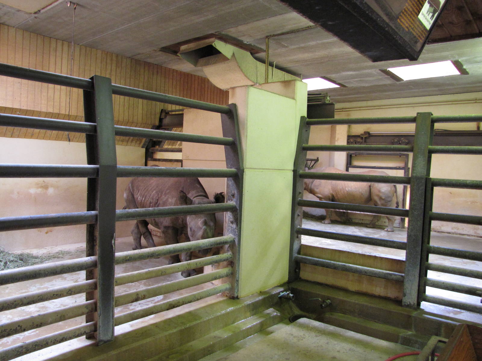 Caldwell Zoo 2010 - Black Rhinoceros indoor stalls