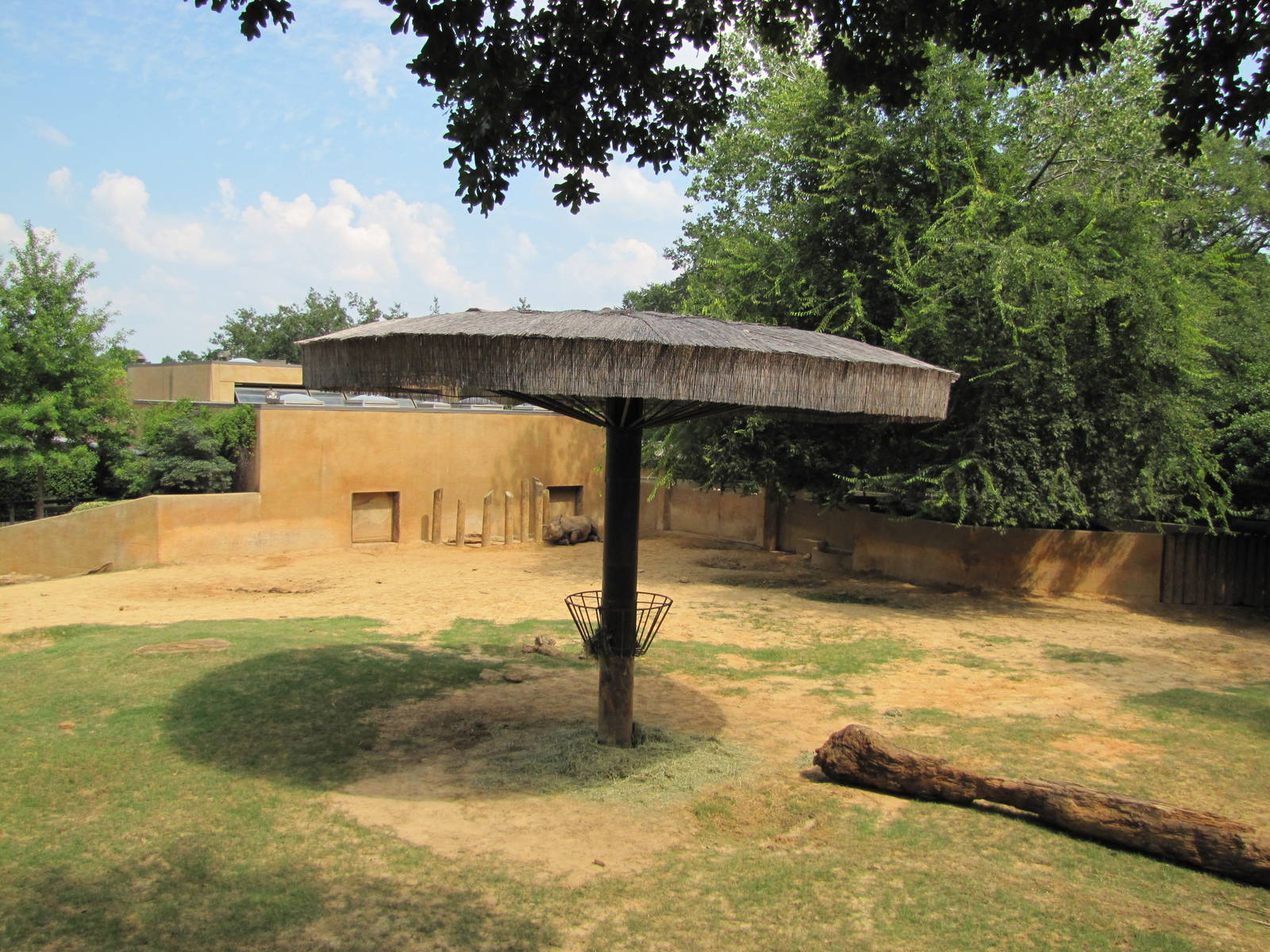 Caldwell Zoo 2010 - Center of the second Black Rhinoceros exhibit