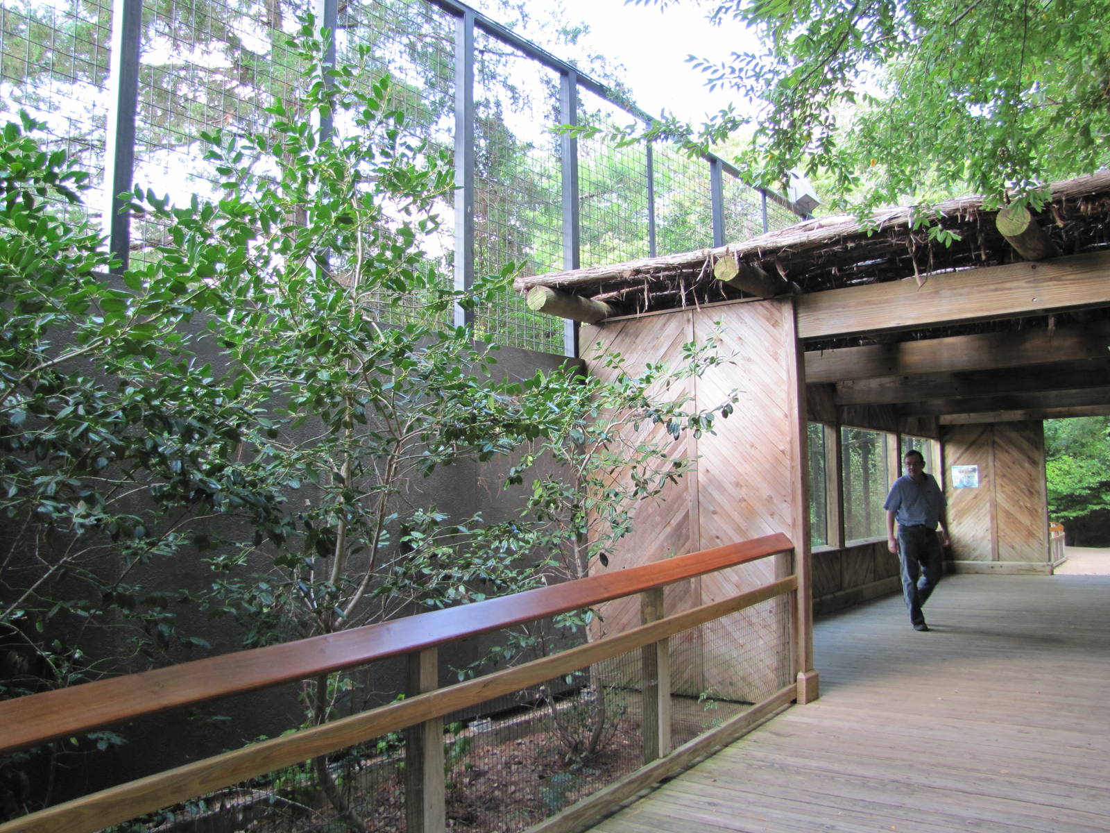 Caldwell Zoo 2010 - Front of the African Lion exhibit