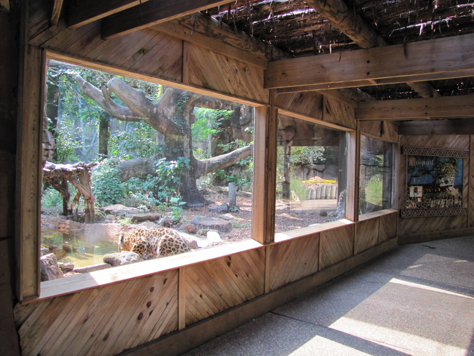 Caldwell Zoo 2010 - Front of the Amur Leopard exhibit in the Africa section