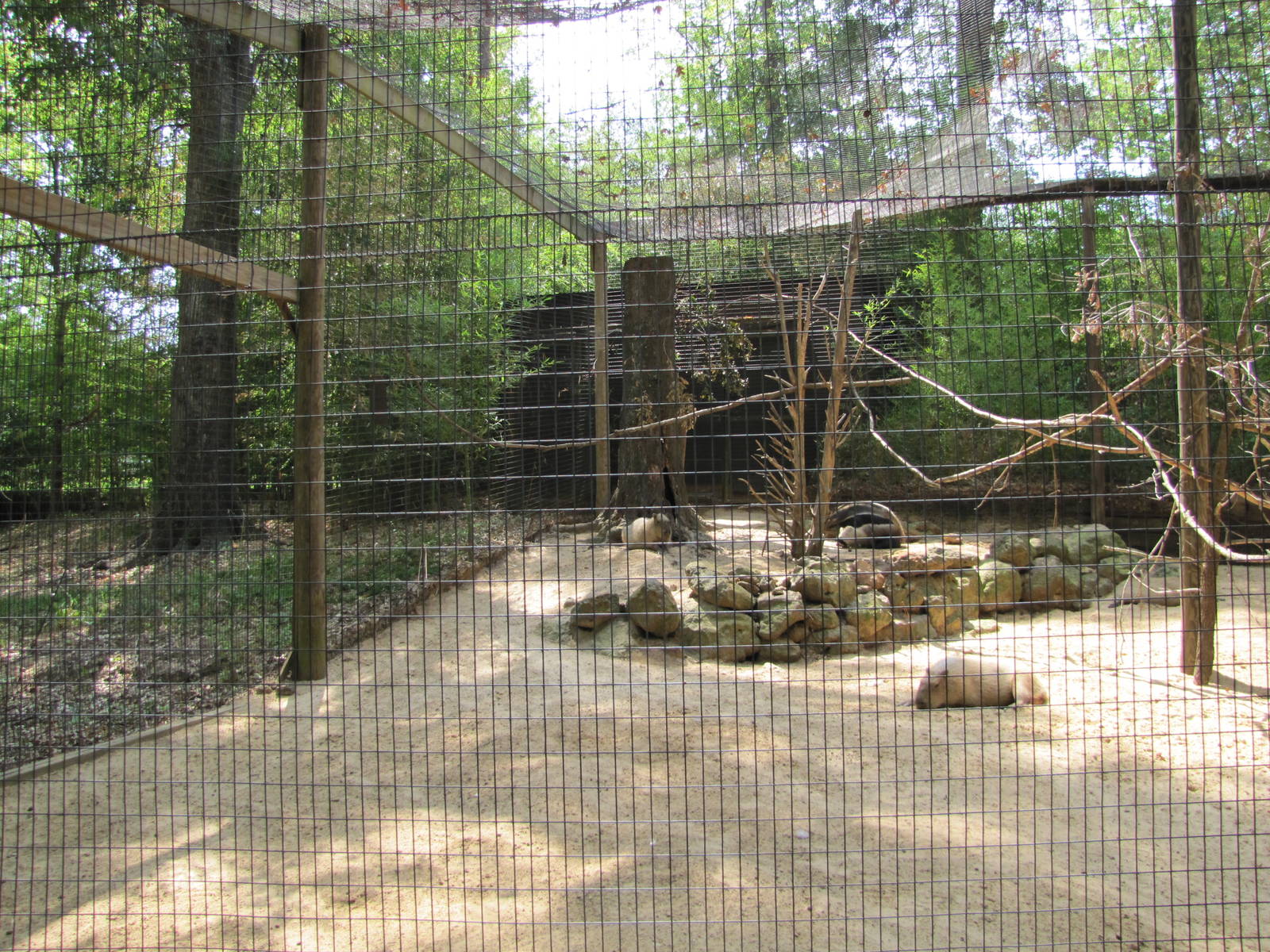 Caldwell Zoo 2010 - Inside the mixed South America exhibit