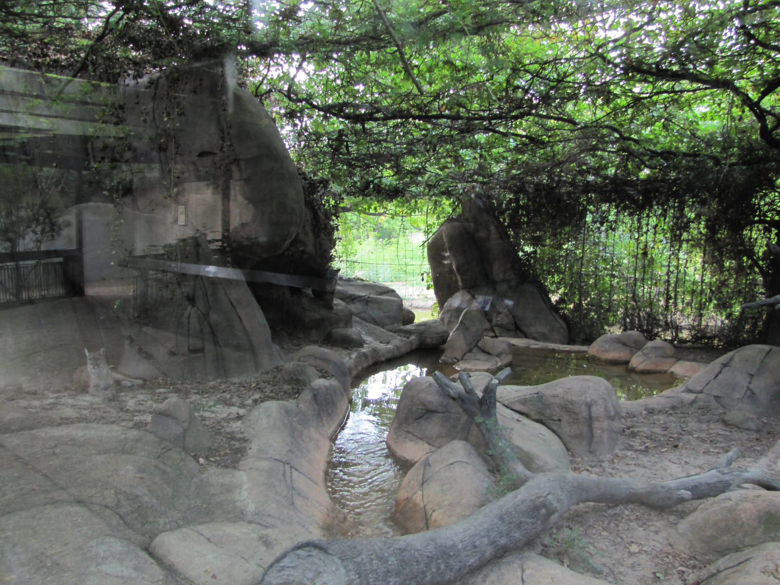 Caldwell Zoo 2010 - Left side of the Cougar exhibit