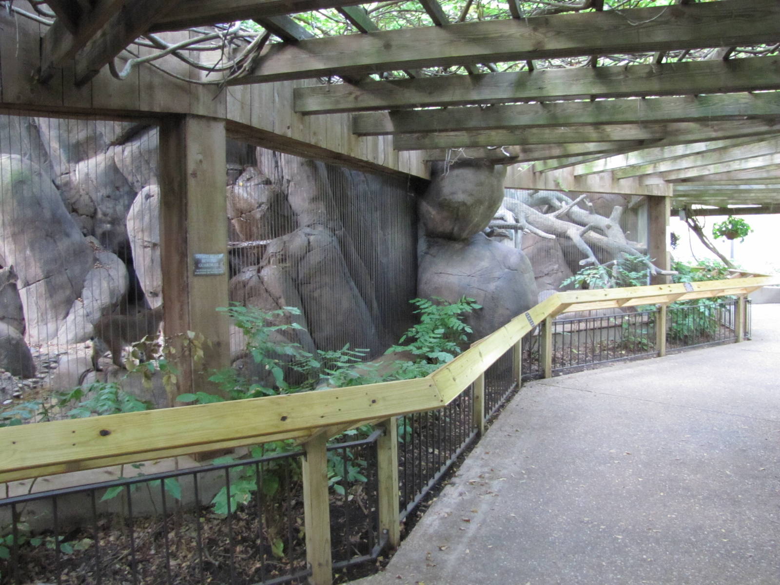 Caldwell Zoo 2010 - Native carnivore exhibits in the North America section