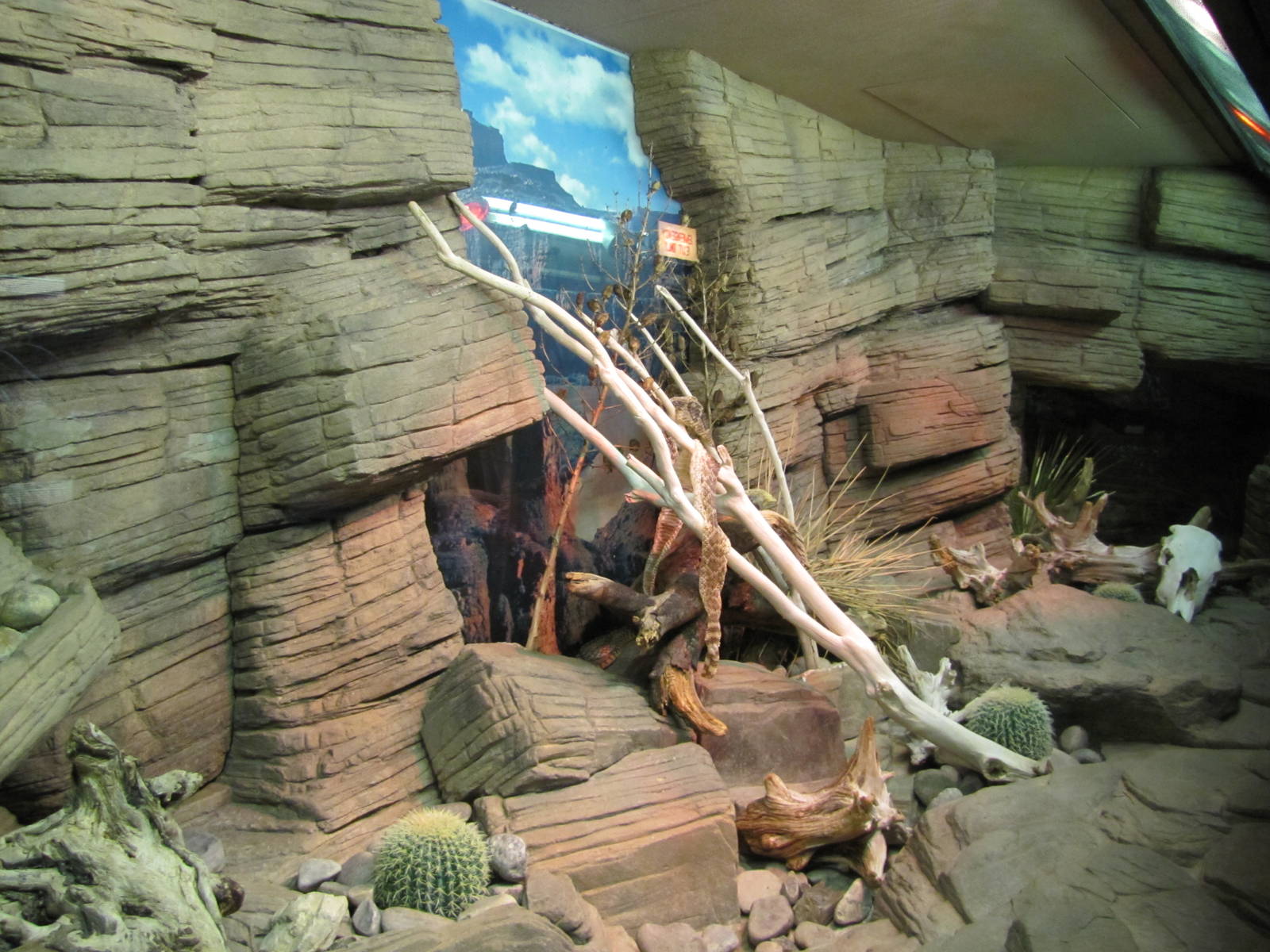 Caldwell Zoo 2010 - One of the native reptile exhibits