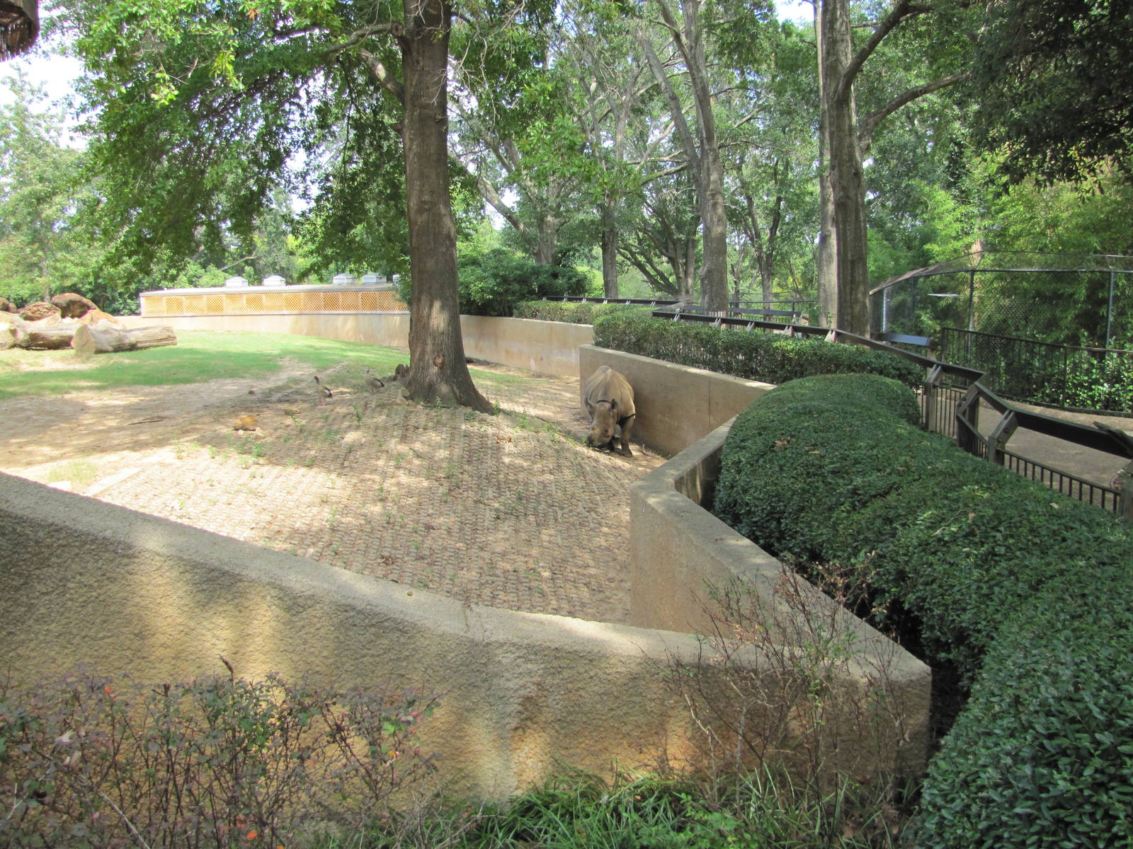 Caldwell Zoo 2010 - Part of the first Black Rhinoceros exhibit in the Afric