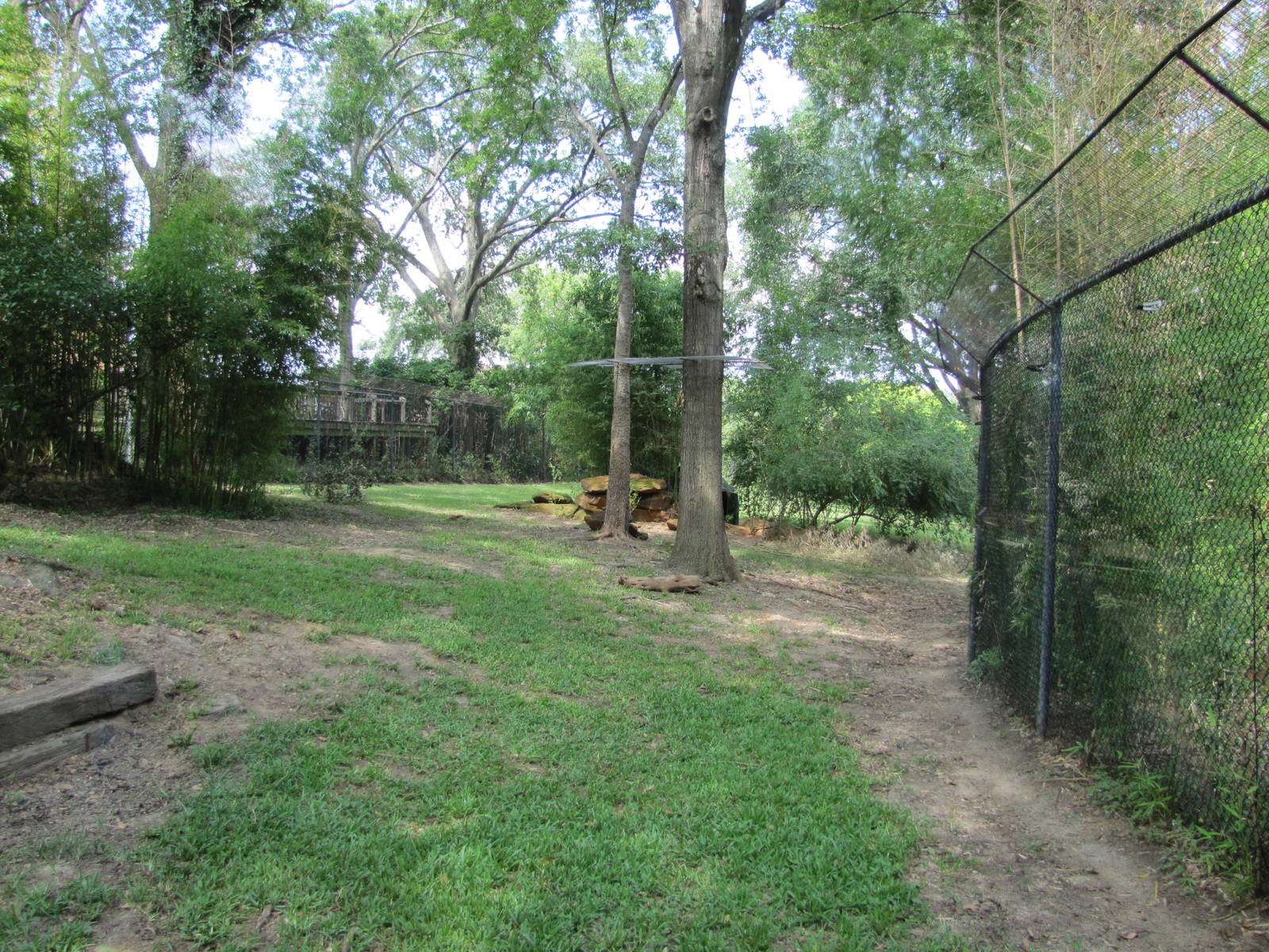 Caldwell Zoo 2010 - Part of the large Cheetah exhibit in the African Savann