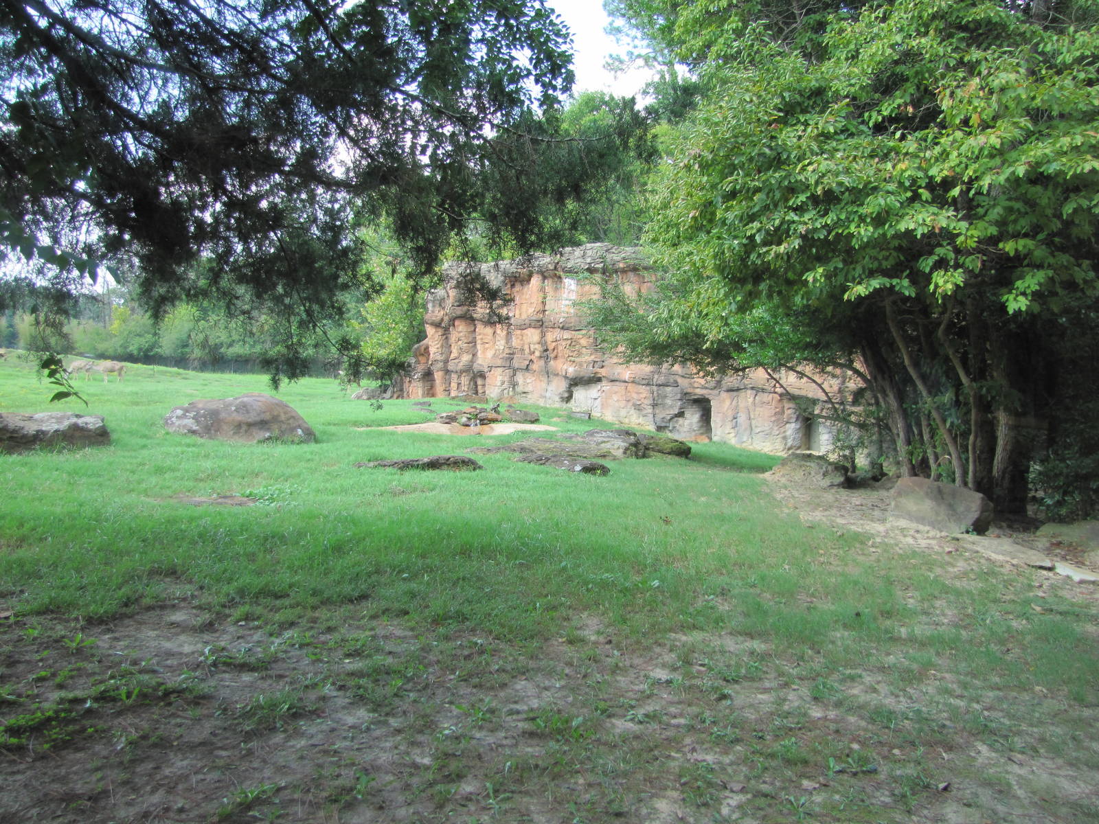 Caldwell Zoo 2010 - Right part of the African Lion exhibit