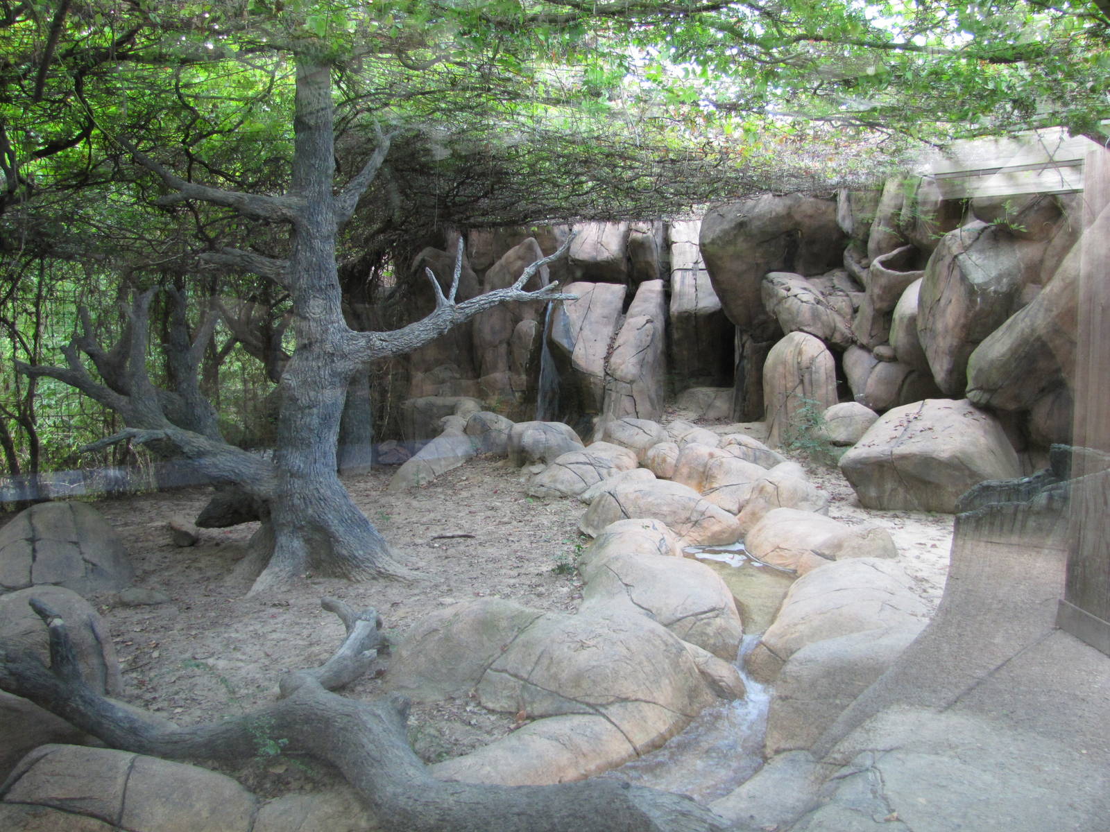 Caldwell Zoo 2010 - Right side of the Cougar exhibit