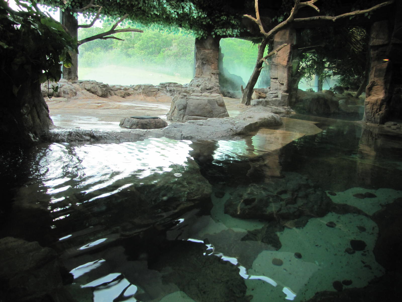 Caldwell Zoo 2010 - The larger Jackass Penguin exhibit