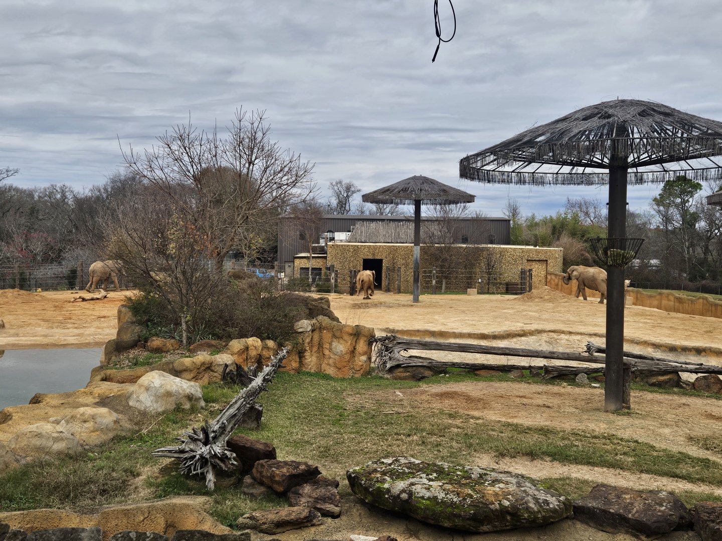 Caldwell Zoo African Elephant Habitat