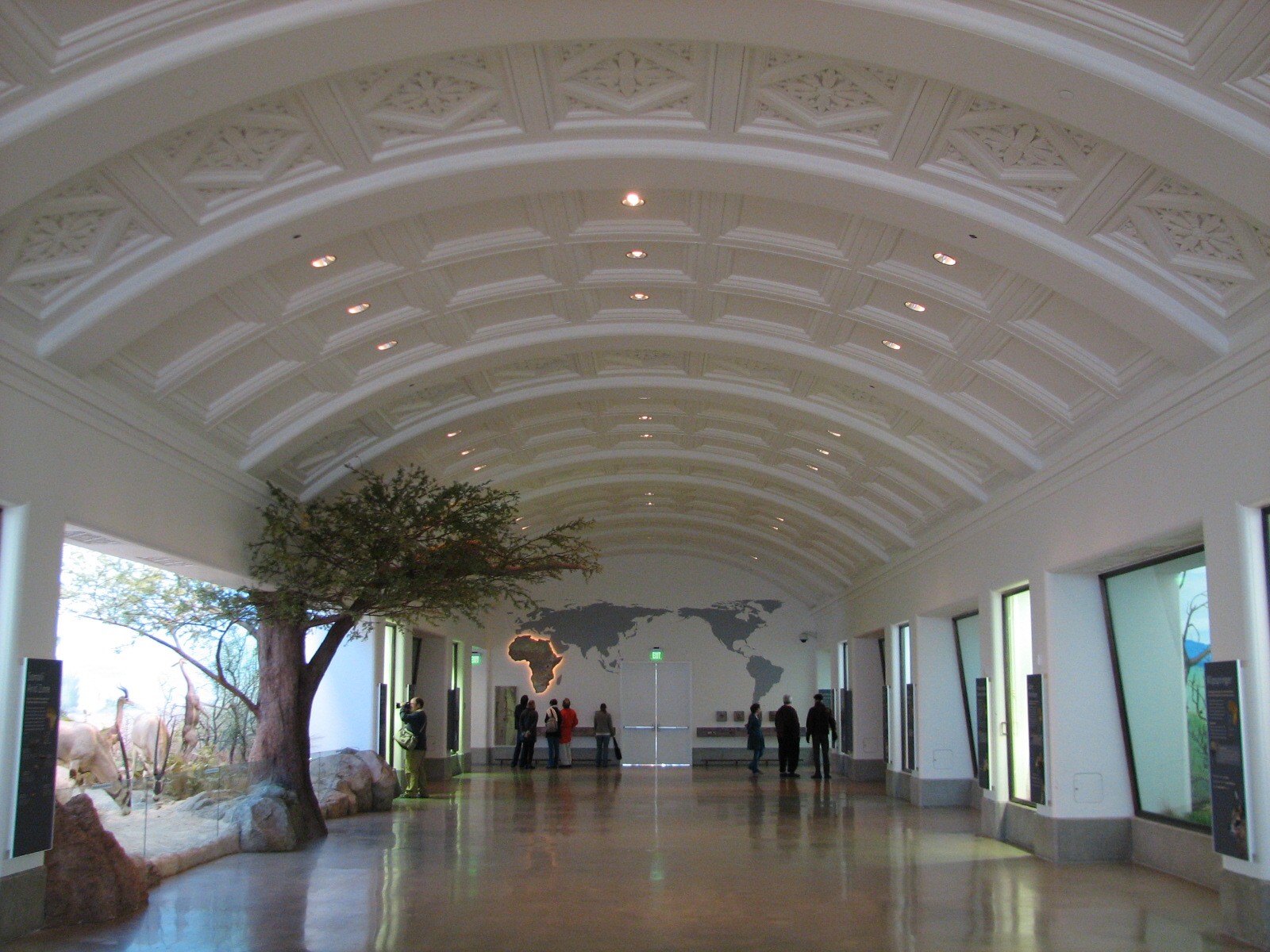 California Academy of Sciences - African Hall
