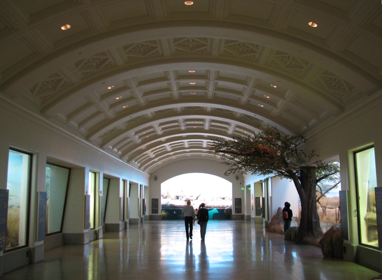 California Academy of Sciences - African Hall