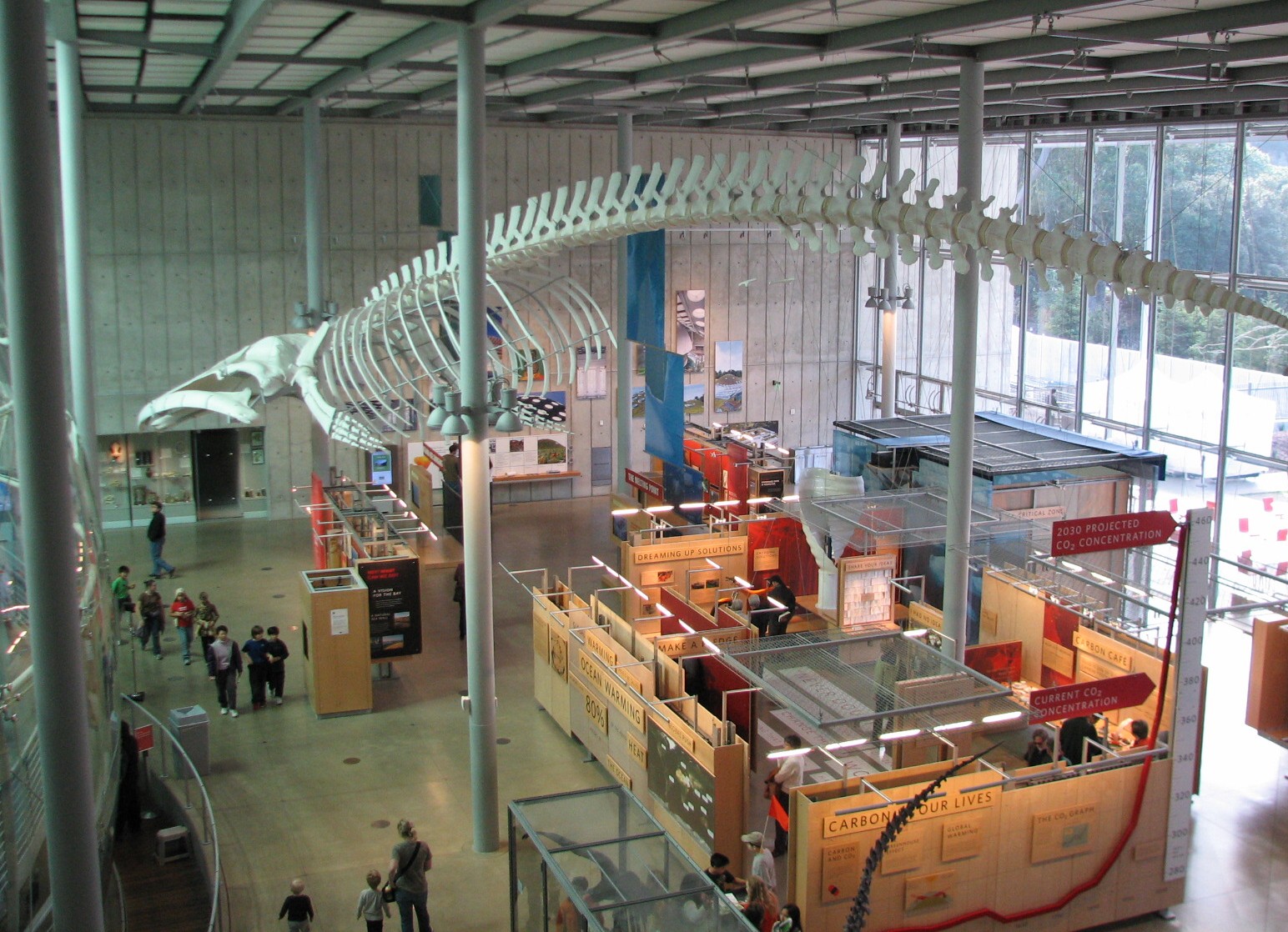 California Academy of Sciences - Exhibit Hall