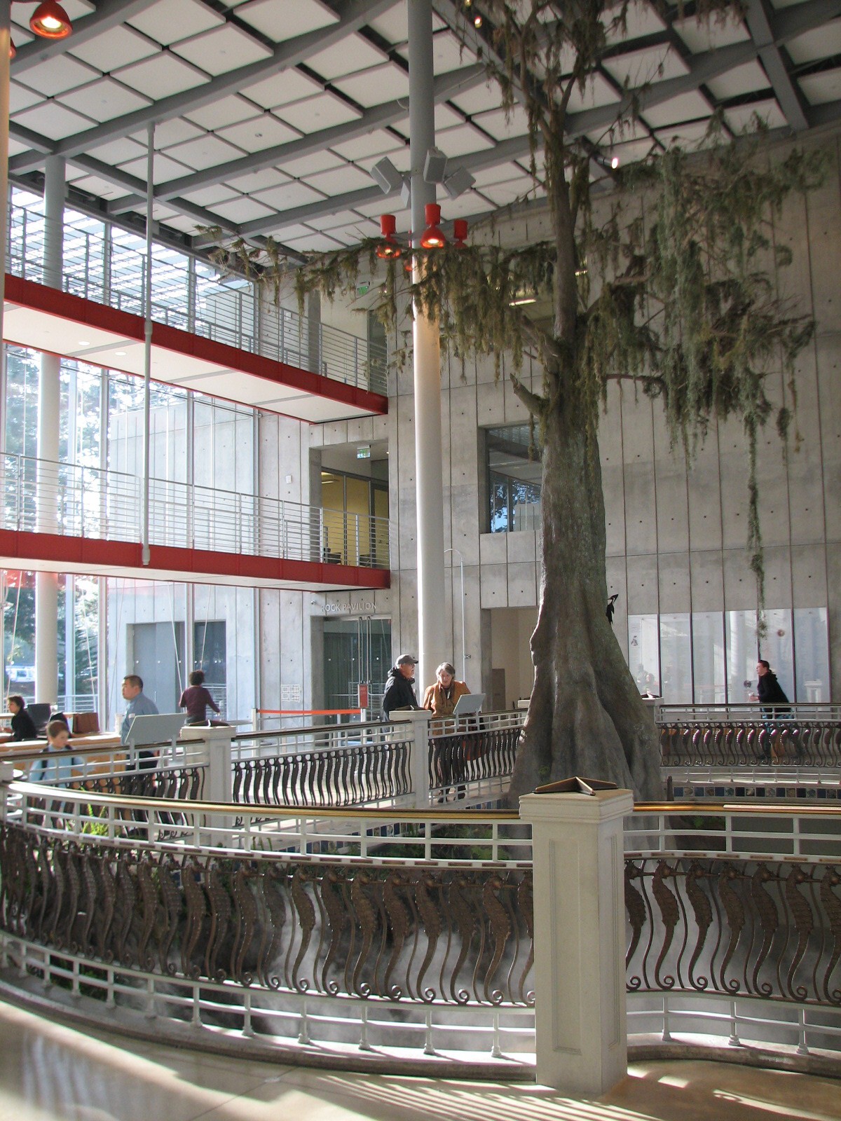 California Academy of Sciences - Steinhart Aquarium Entry