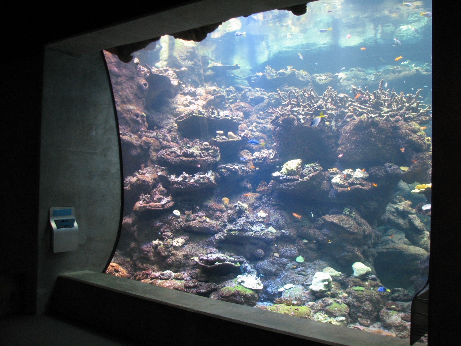 California Academy of Sciences - Steinhart Aquarium