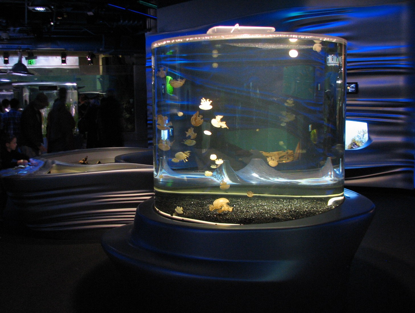 California Academy of Sciences - Steinhart Aquarium