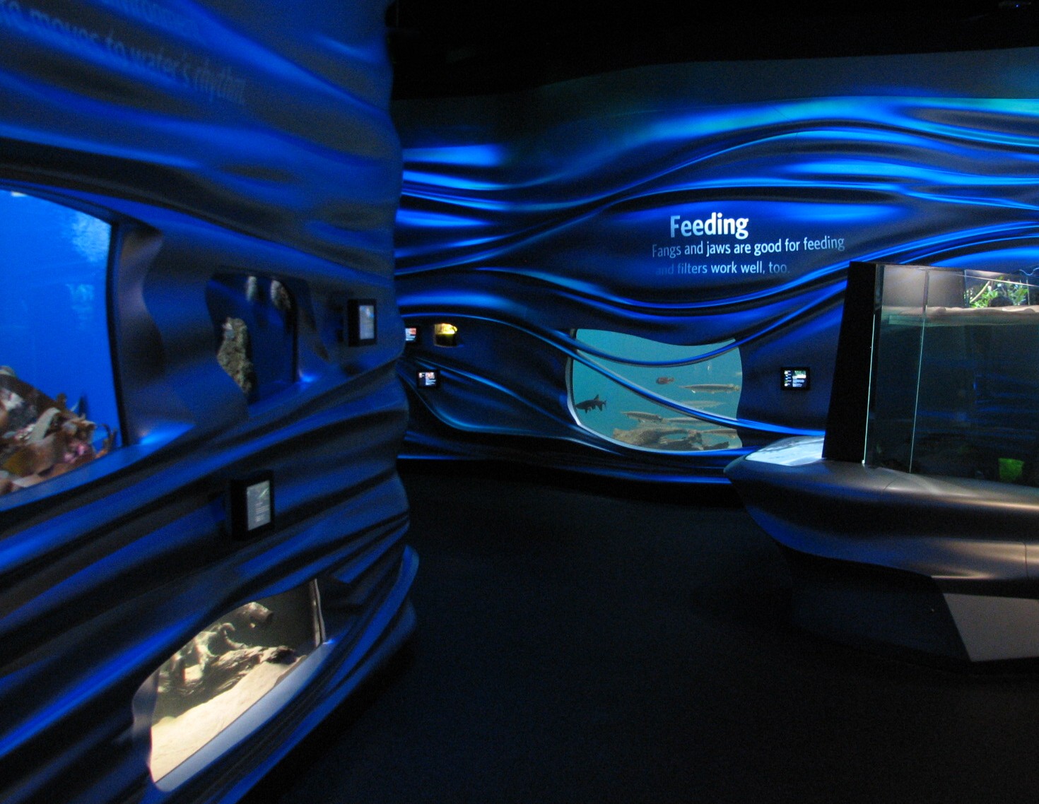 California Academy of Sciences - Steinhart Aquarium