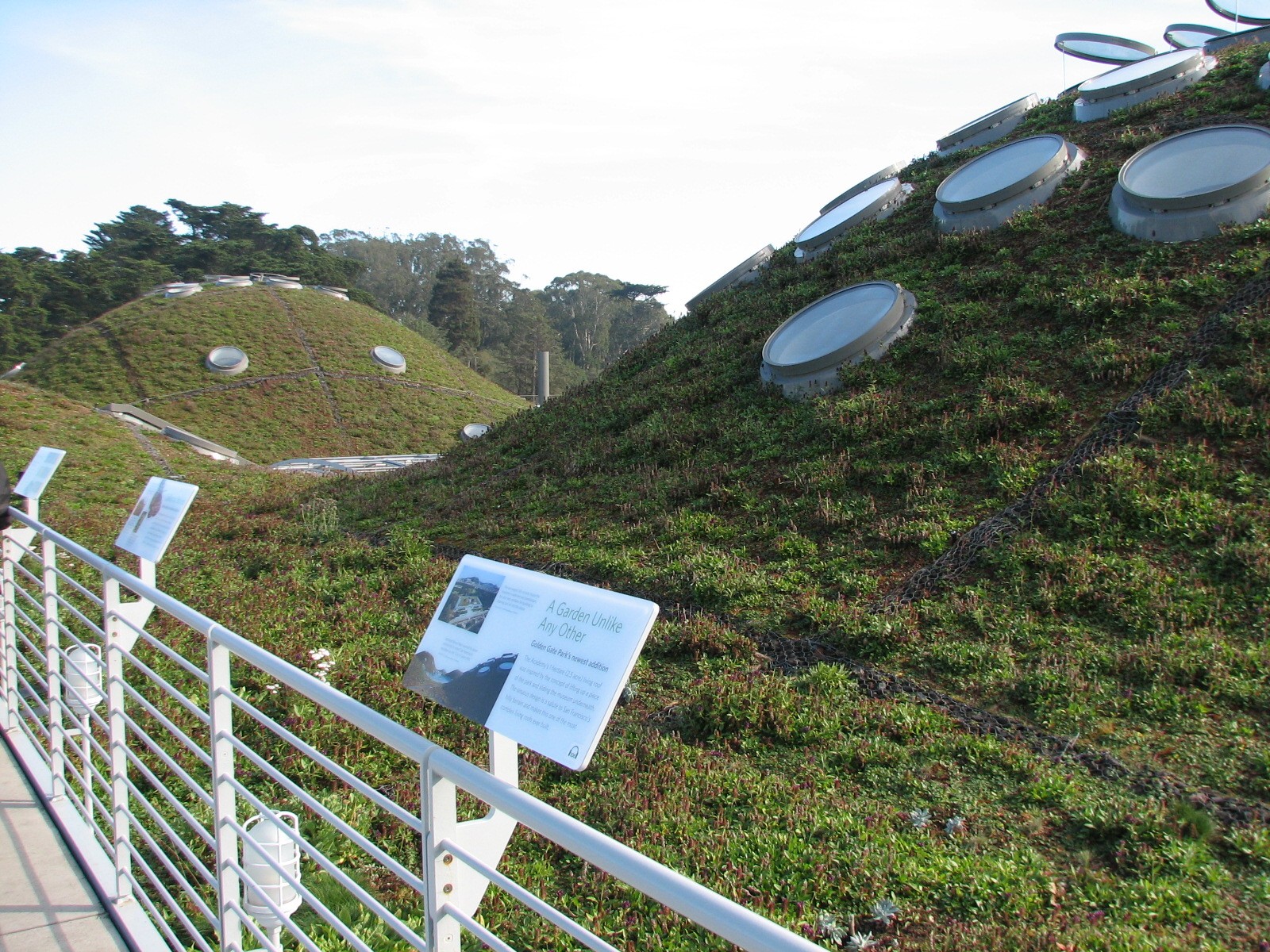 California Academy of Sciences