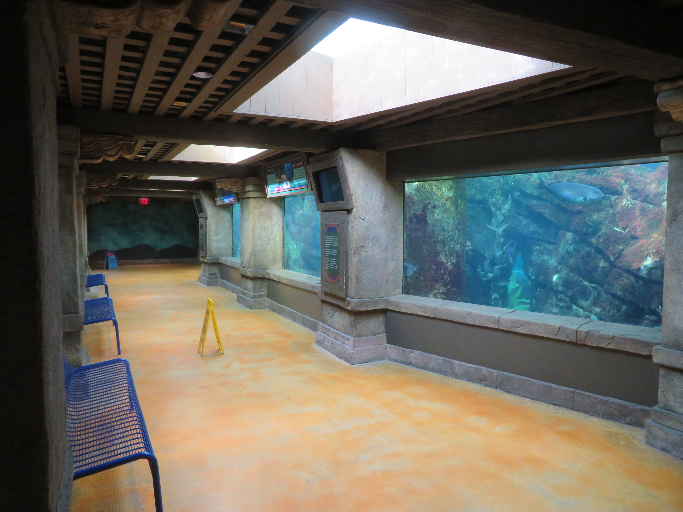 California Aquarium (Manta)