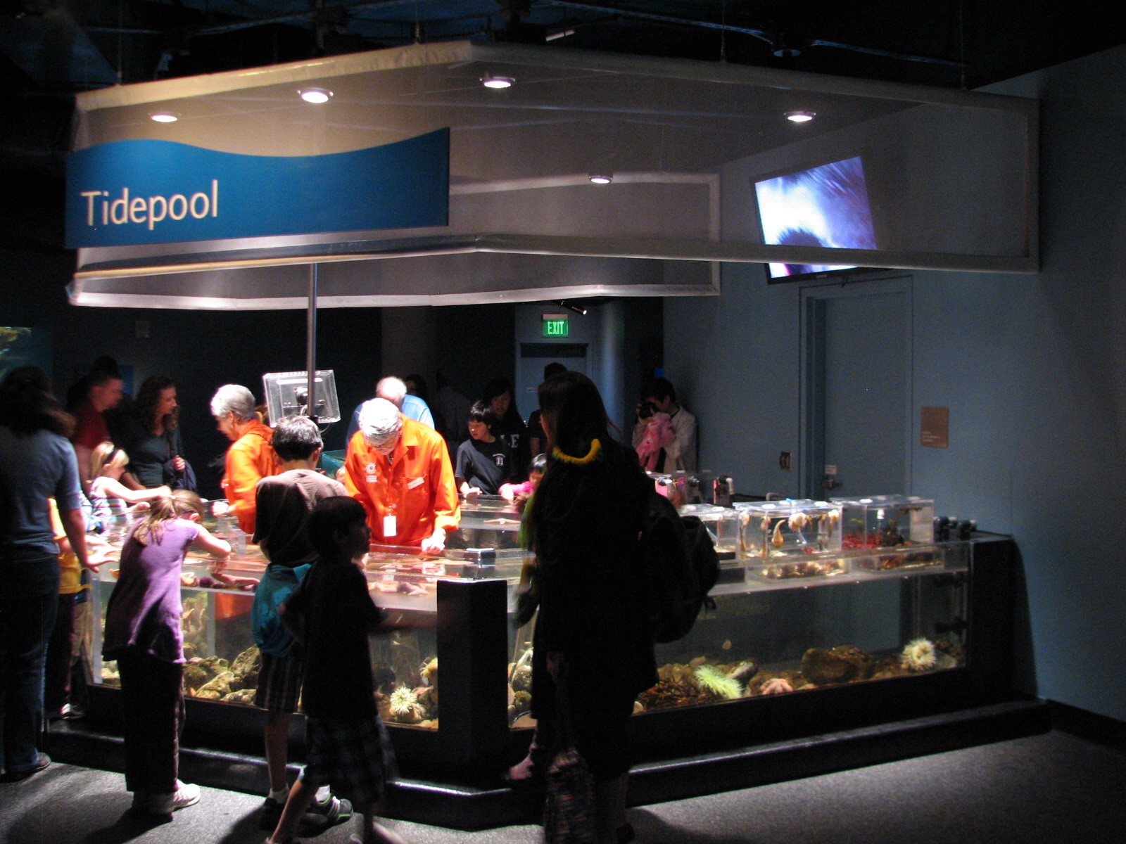 California Coast - Discovery Tidepool