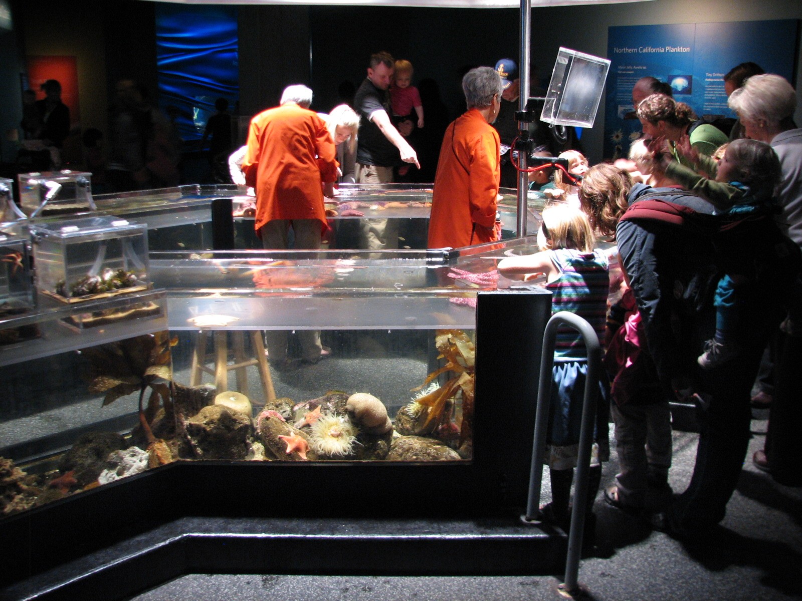 California Coast - Discovery Tidepool