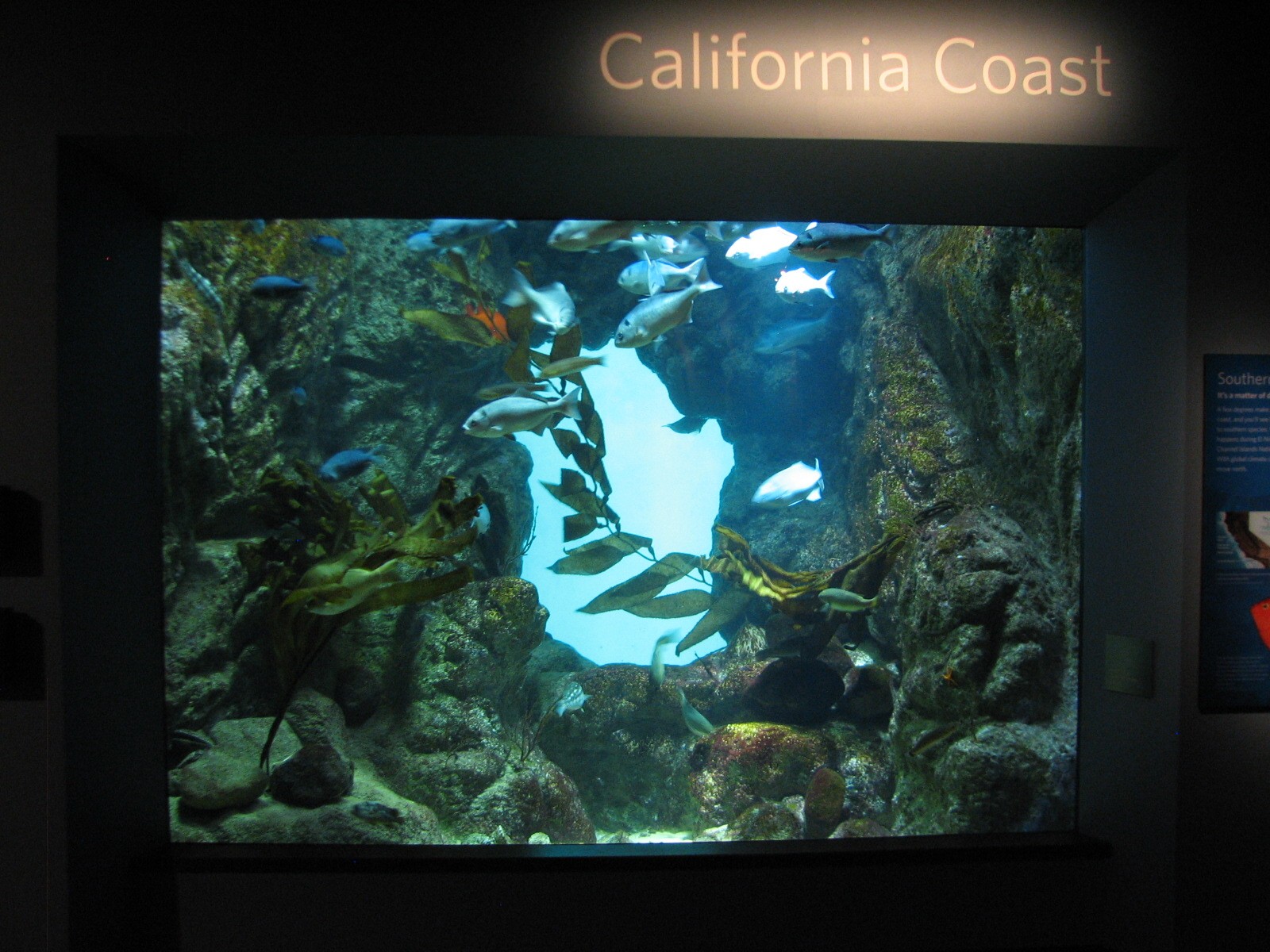 California Coast - Exhibit
